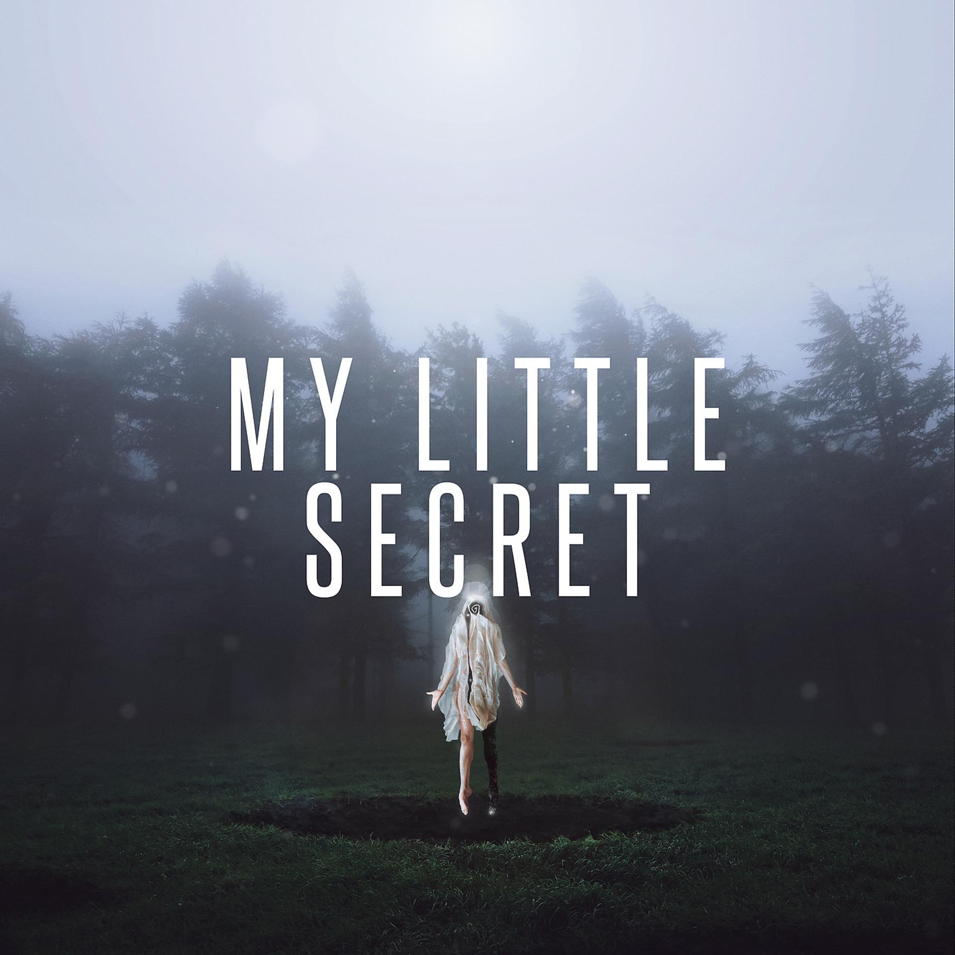 Постер альбома My Little Secret