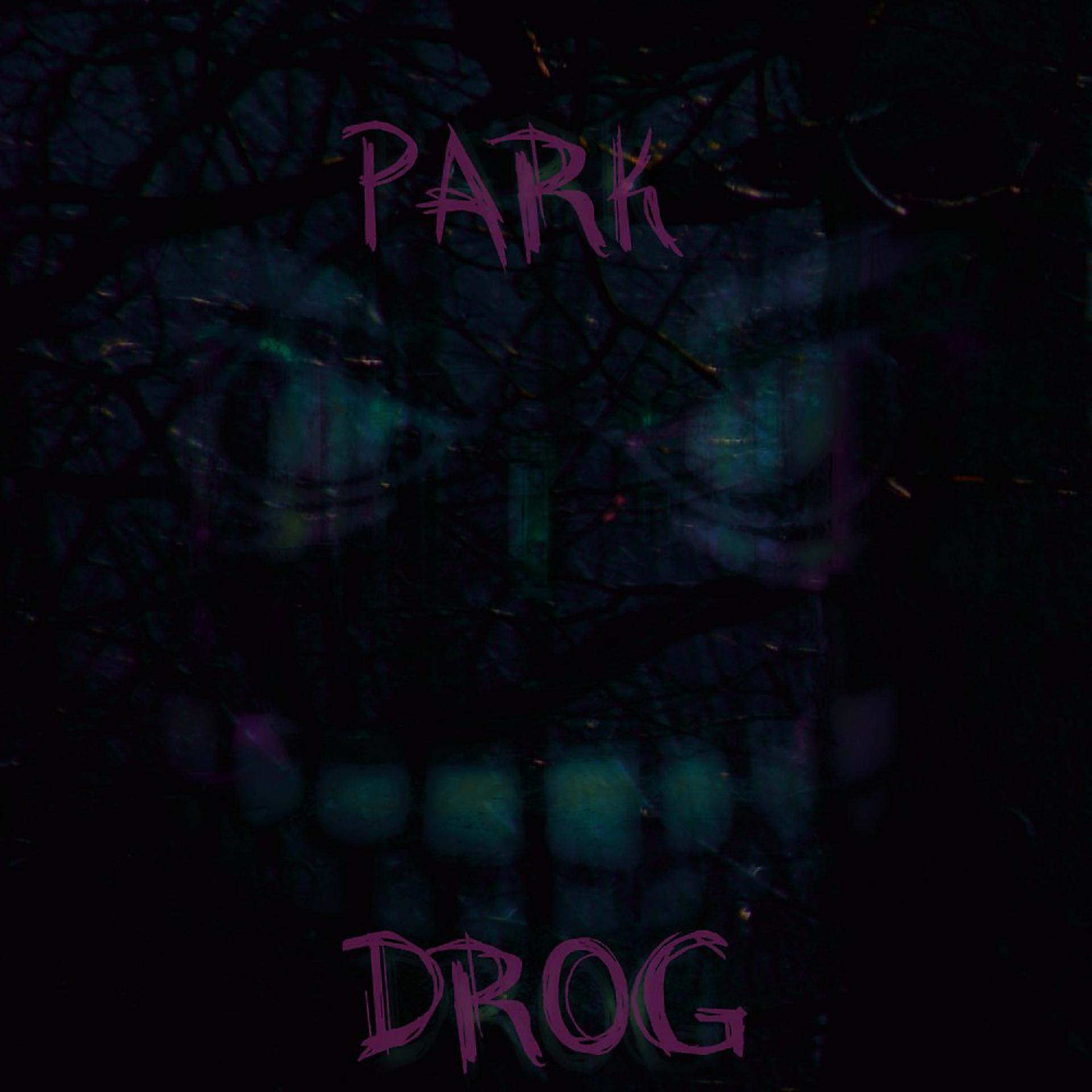 Постер альбома Park Drog