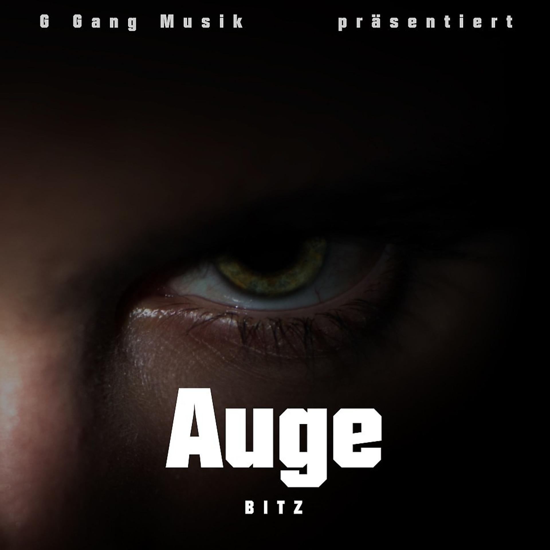 Постер альбома Auge
