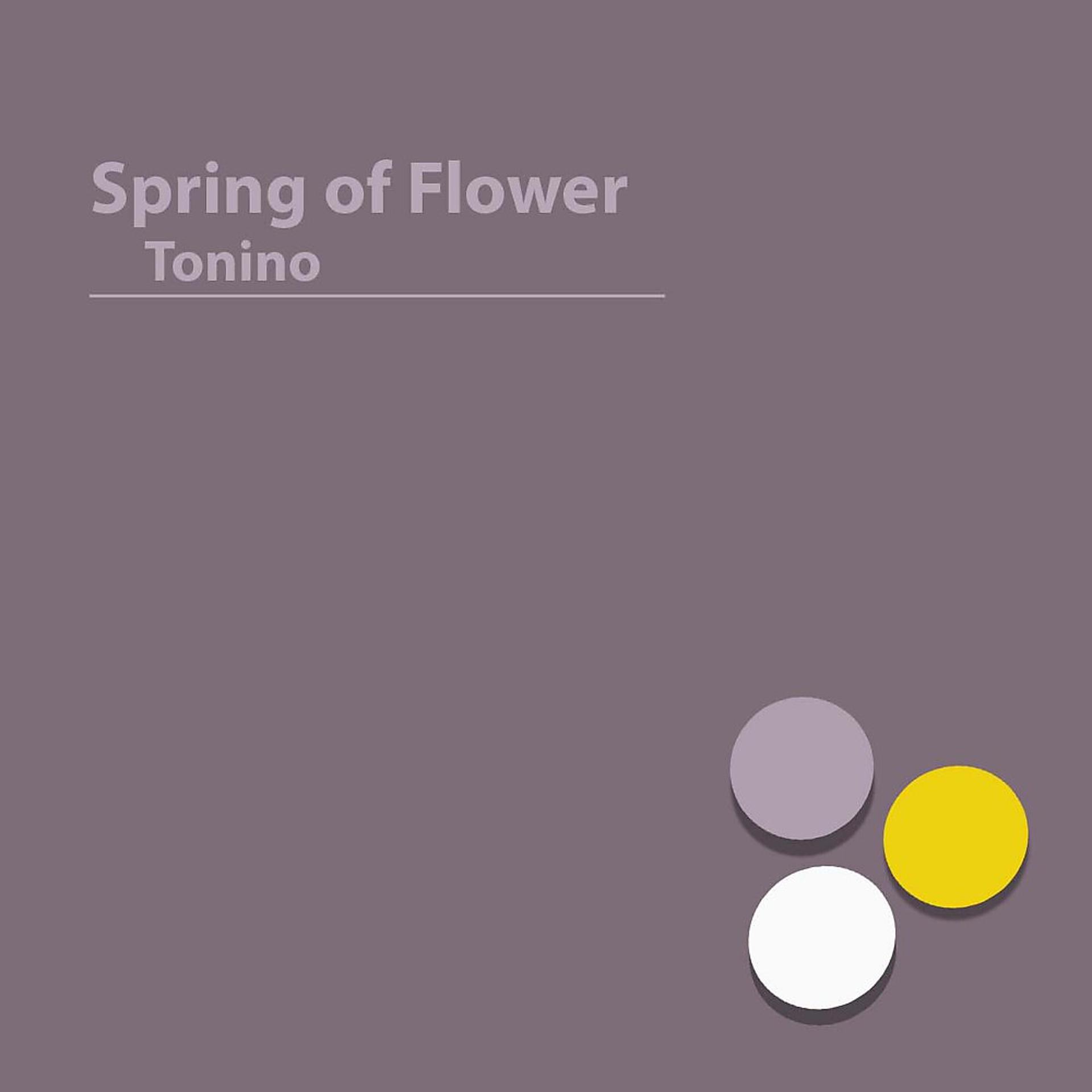 Постер альбома Spring of Flower