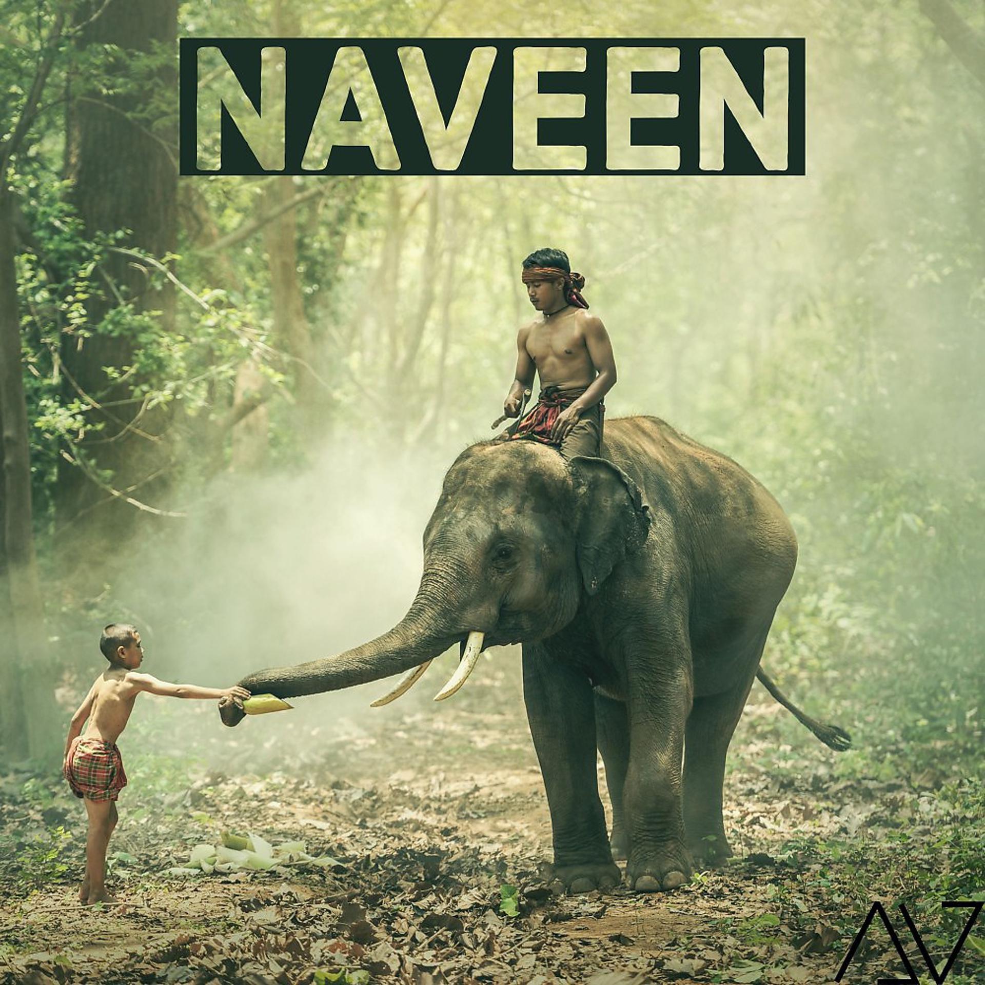 Постер альбома Naveen