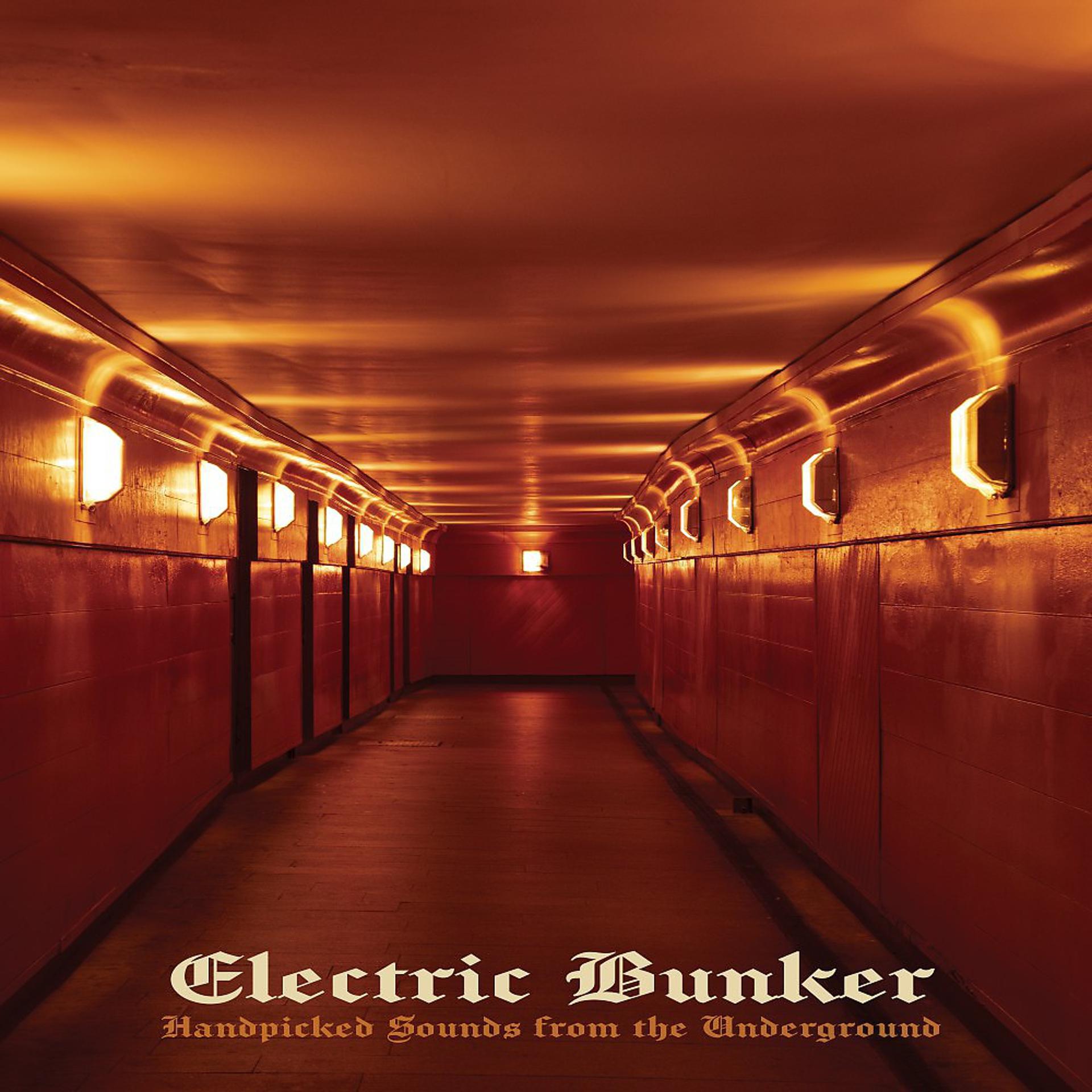 Постер альбома Electric Bunker: Handpicked Sounds from the Underground