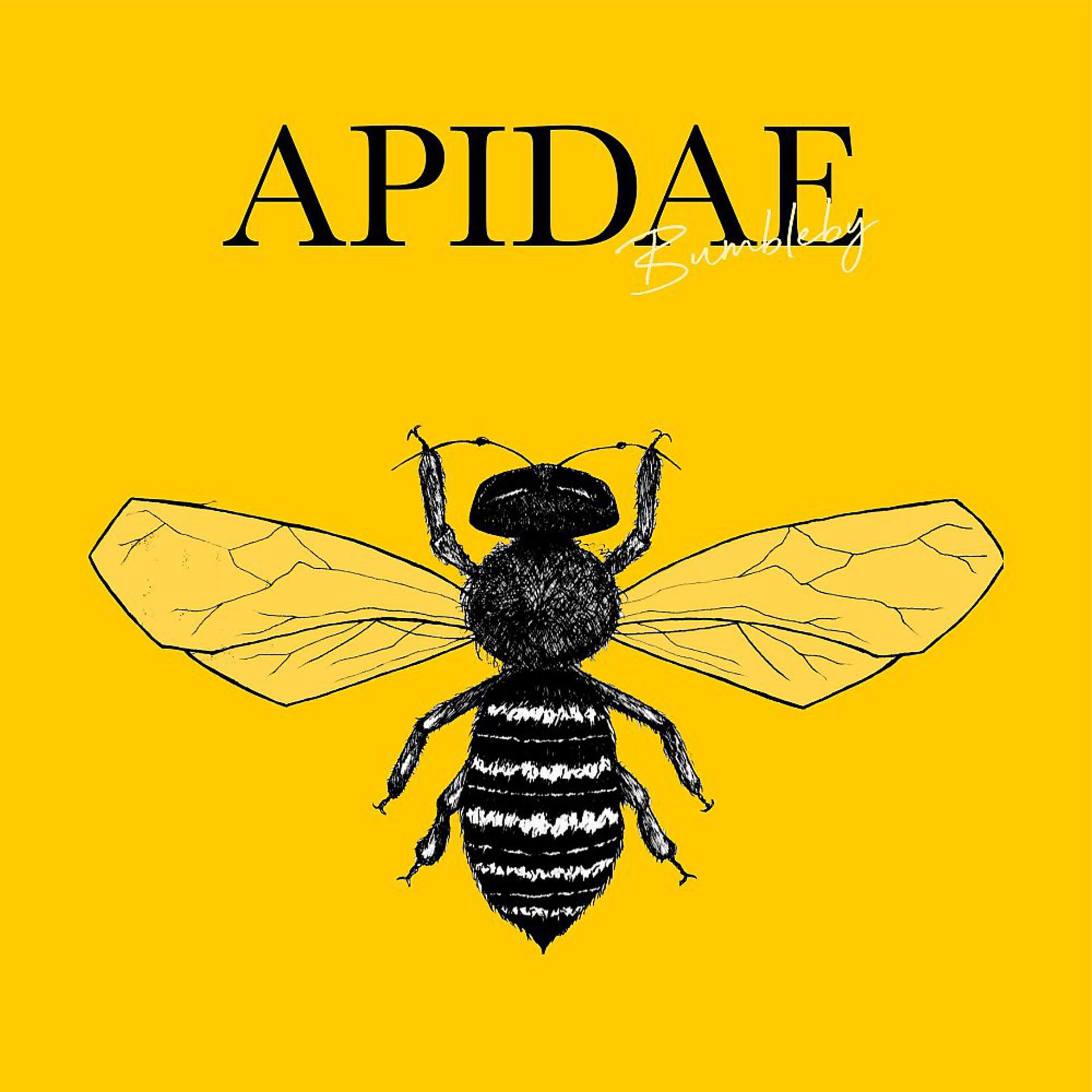 Постер альбома Apidae