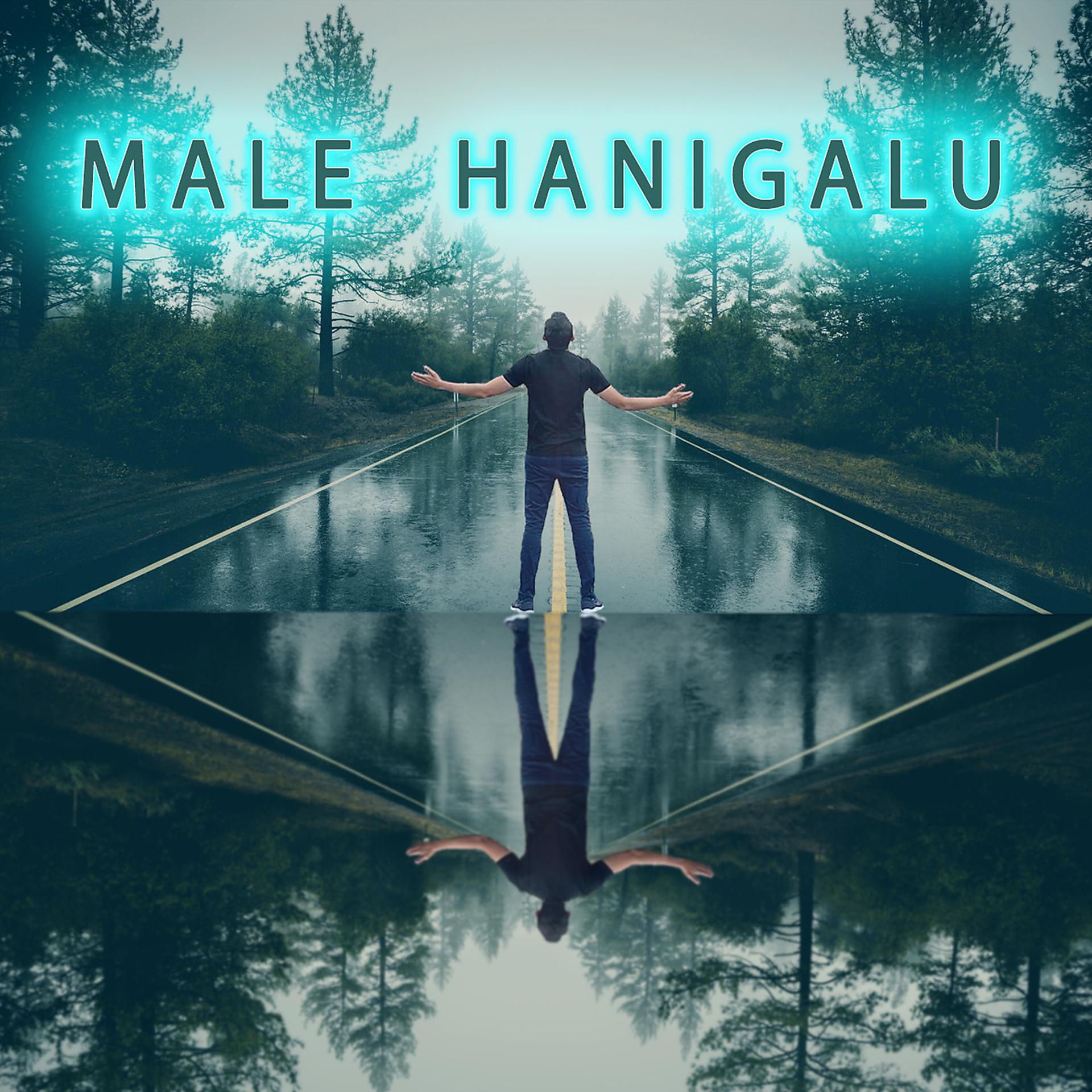 Постер альбома Male Hanigalu