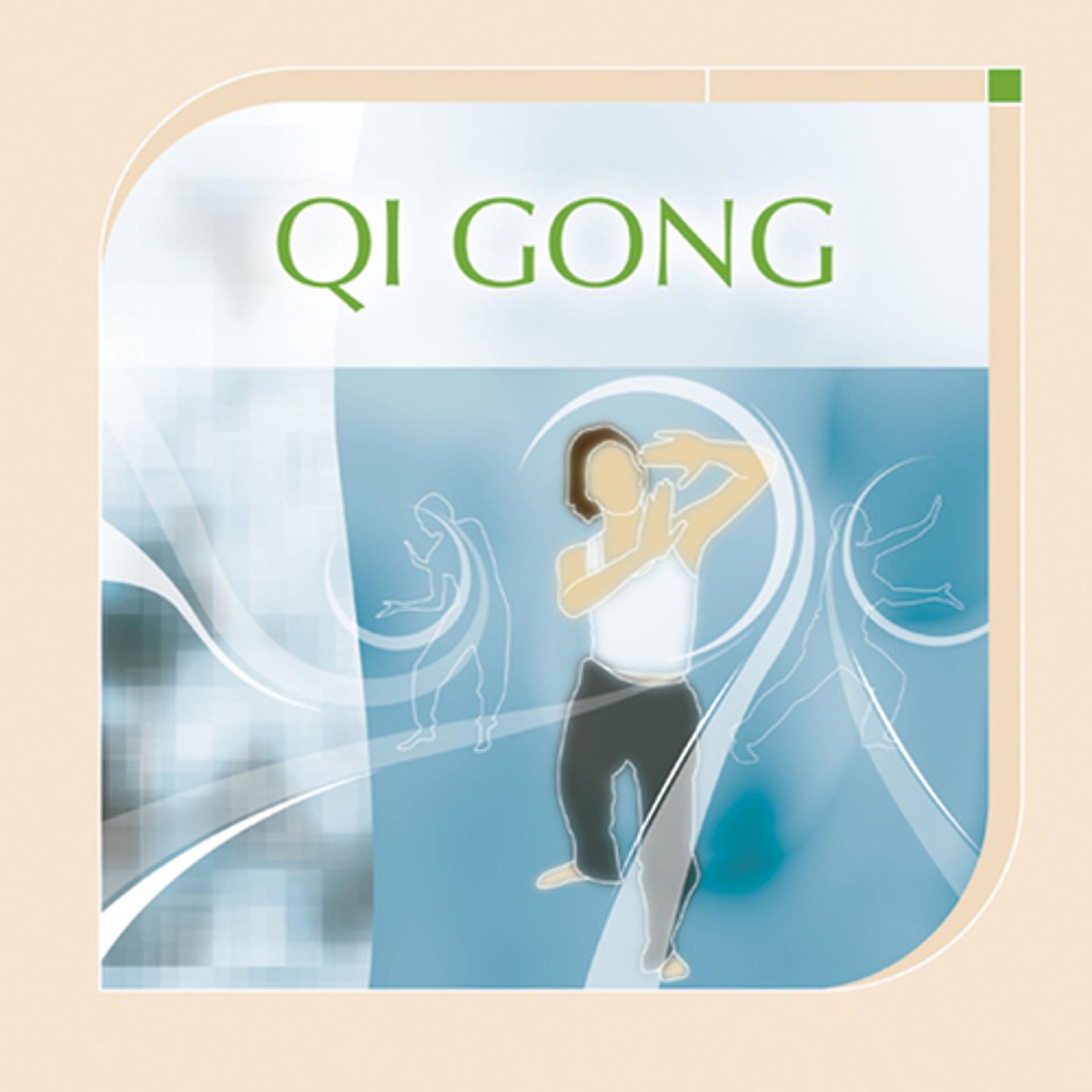 Постер альбома Musiques de soins: qi gong
