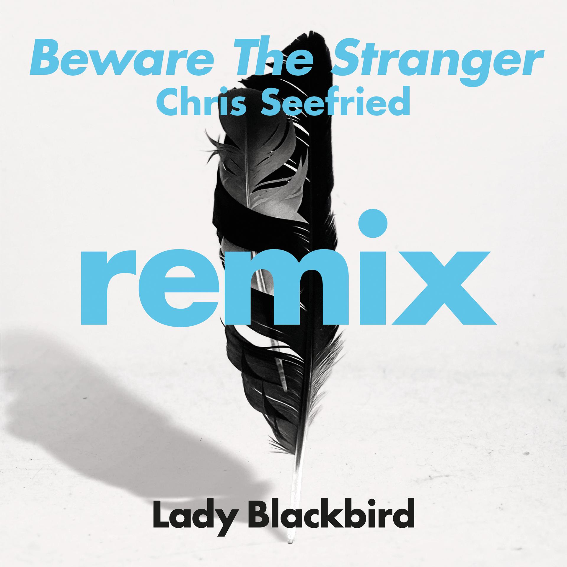 Постер альбома Beware The Stranger (Chris Seefried Remix) [feat. Trombone Shorty]