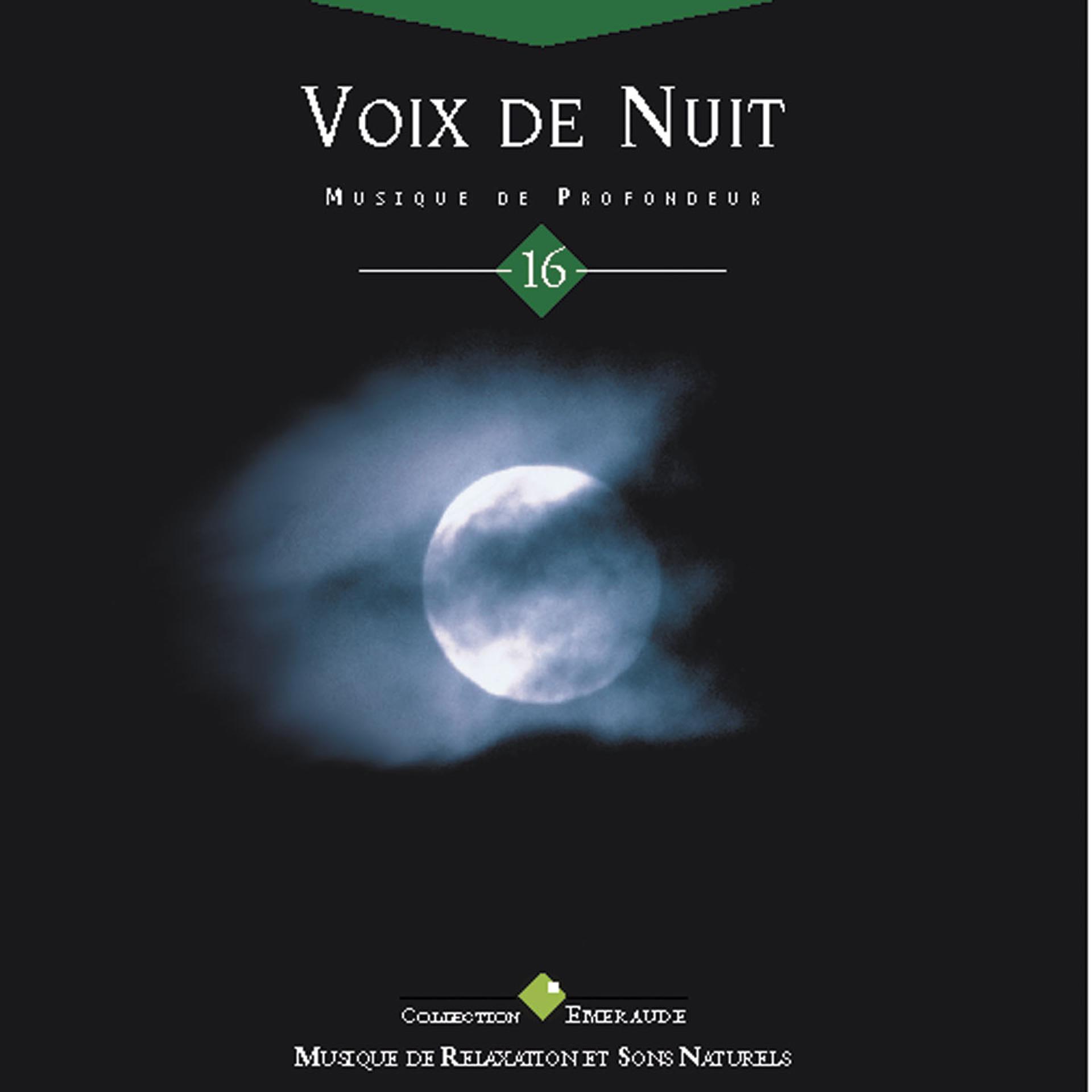 Постер альбома Emeraude: voix de nuit