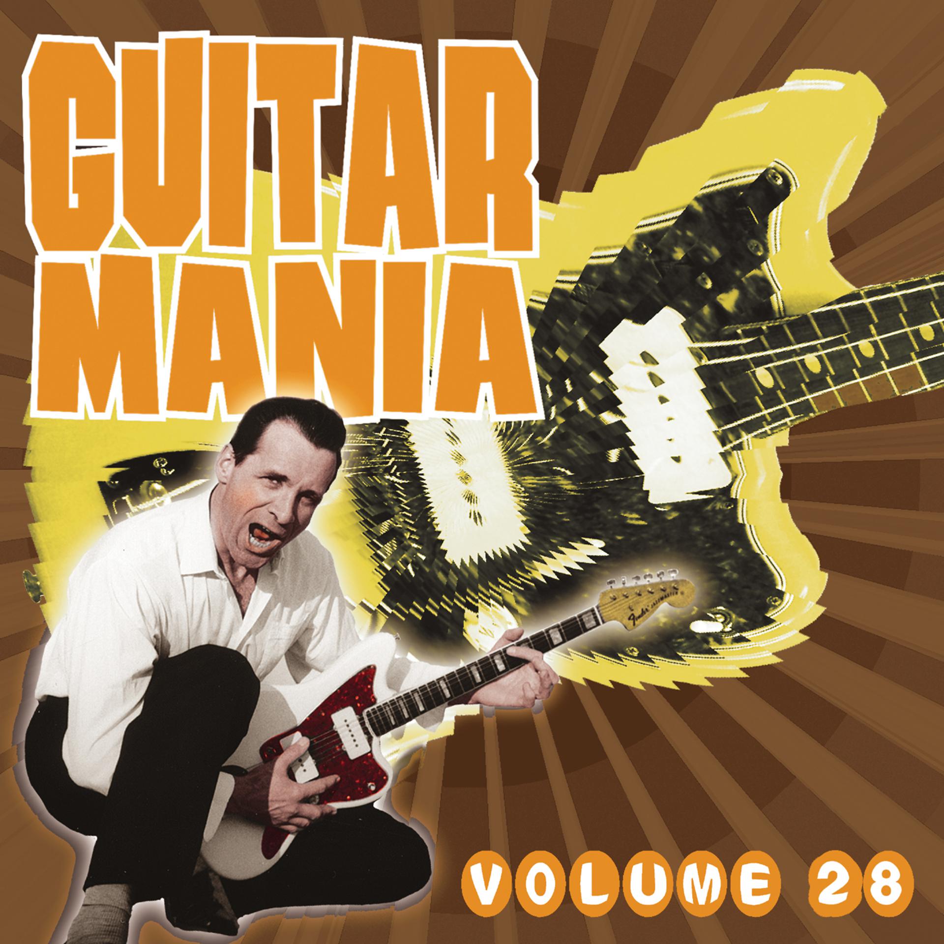 Постер альбома Guitar Mania, Vol. 28