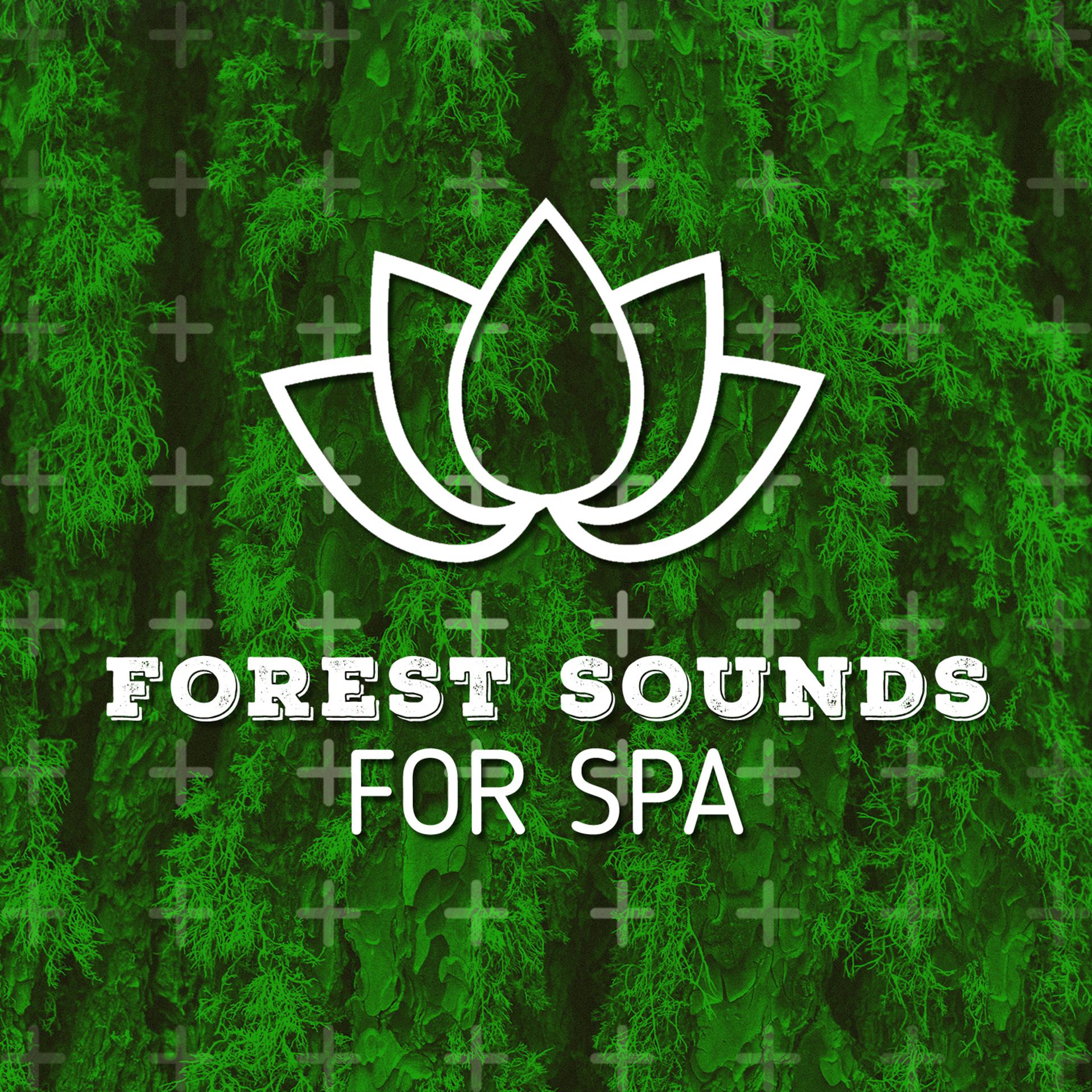 Постер альбома Forest Sounds for Spa