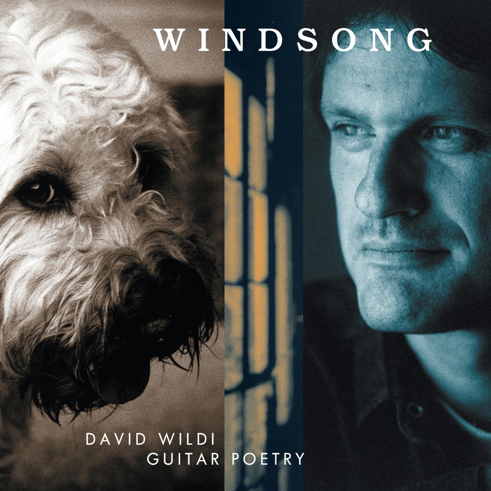 Постер альбома Windsong