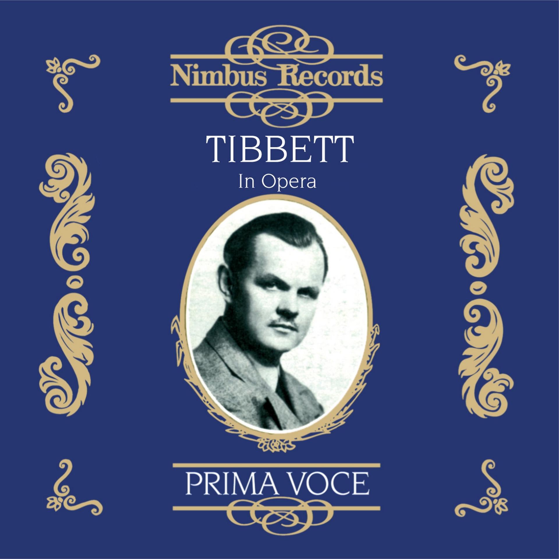 Постер альбома Tibbett in Opera