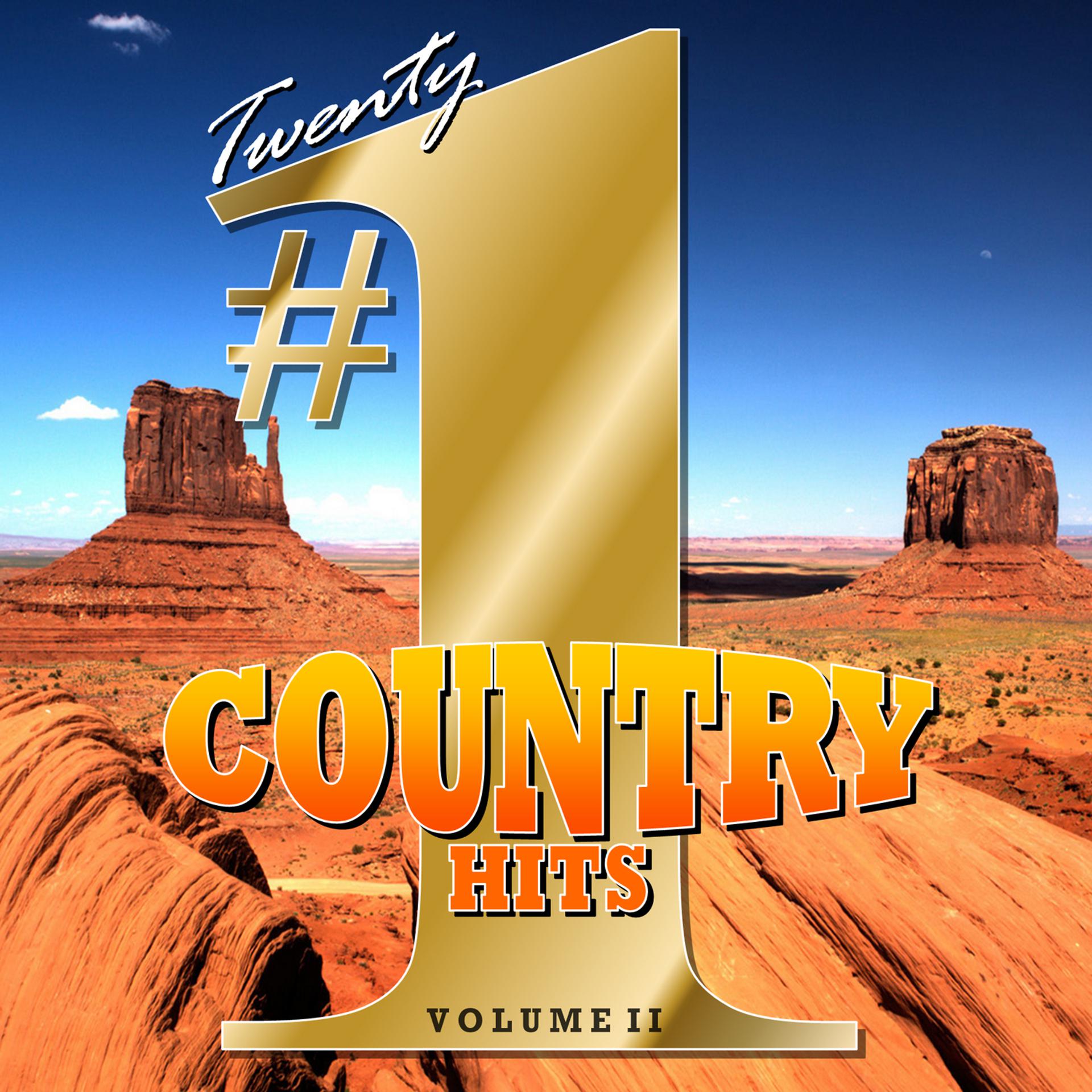 Постер альбома 20 #1 Country Hits, Vol. 2