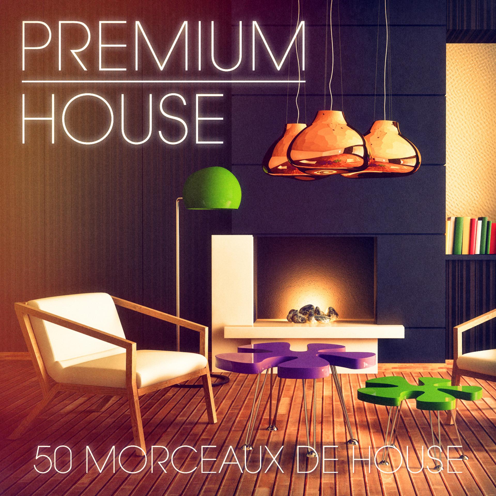 Постер альбома Premium House Music, Vol. 2 (De la house sophistiquée pour les clubbers exigeants)