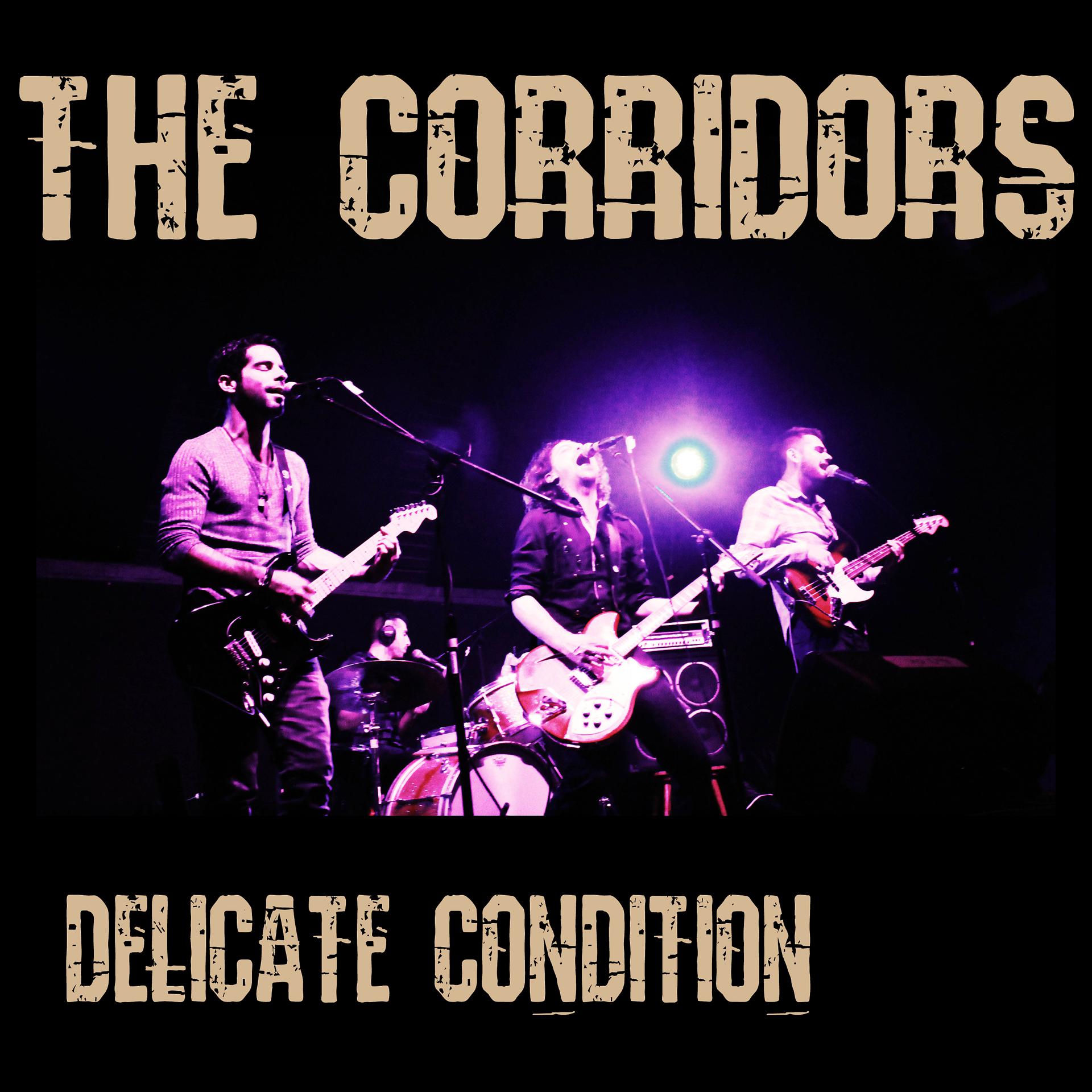 Постер альбома Delicate Condition