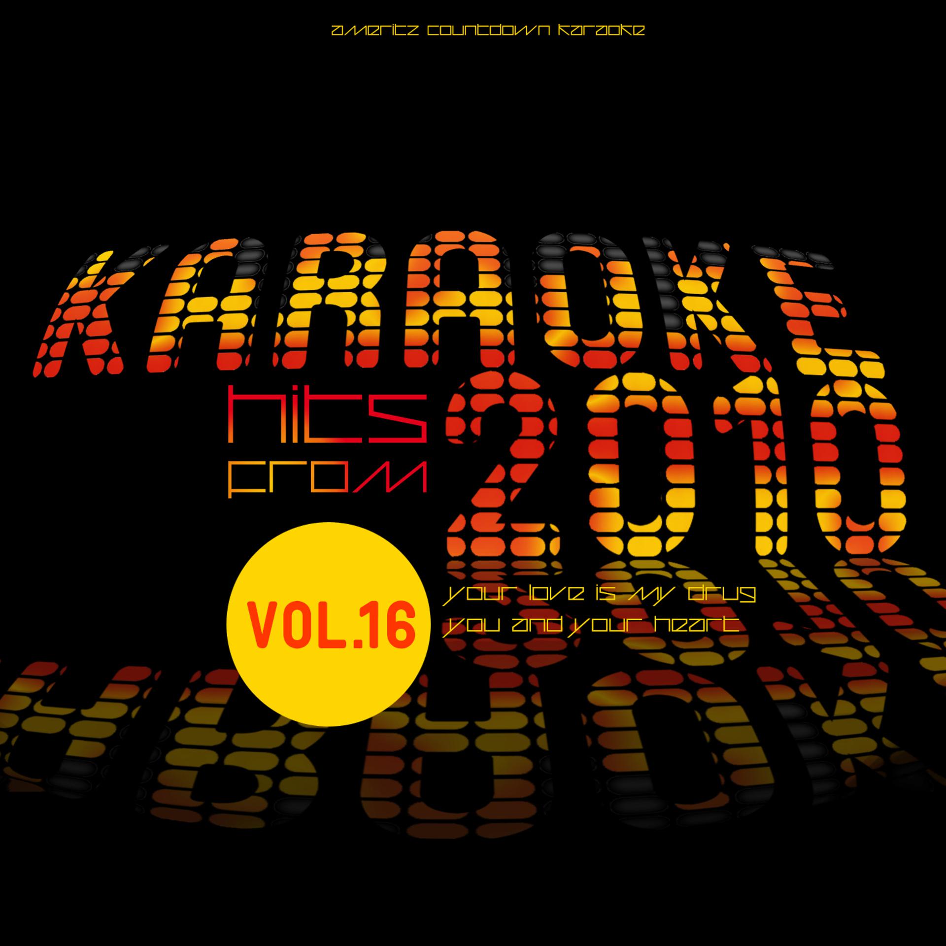 Постер альбома Karaoke Hits from 2010, Vol. 16