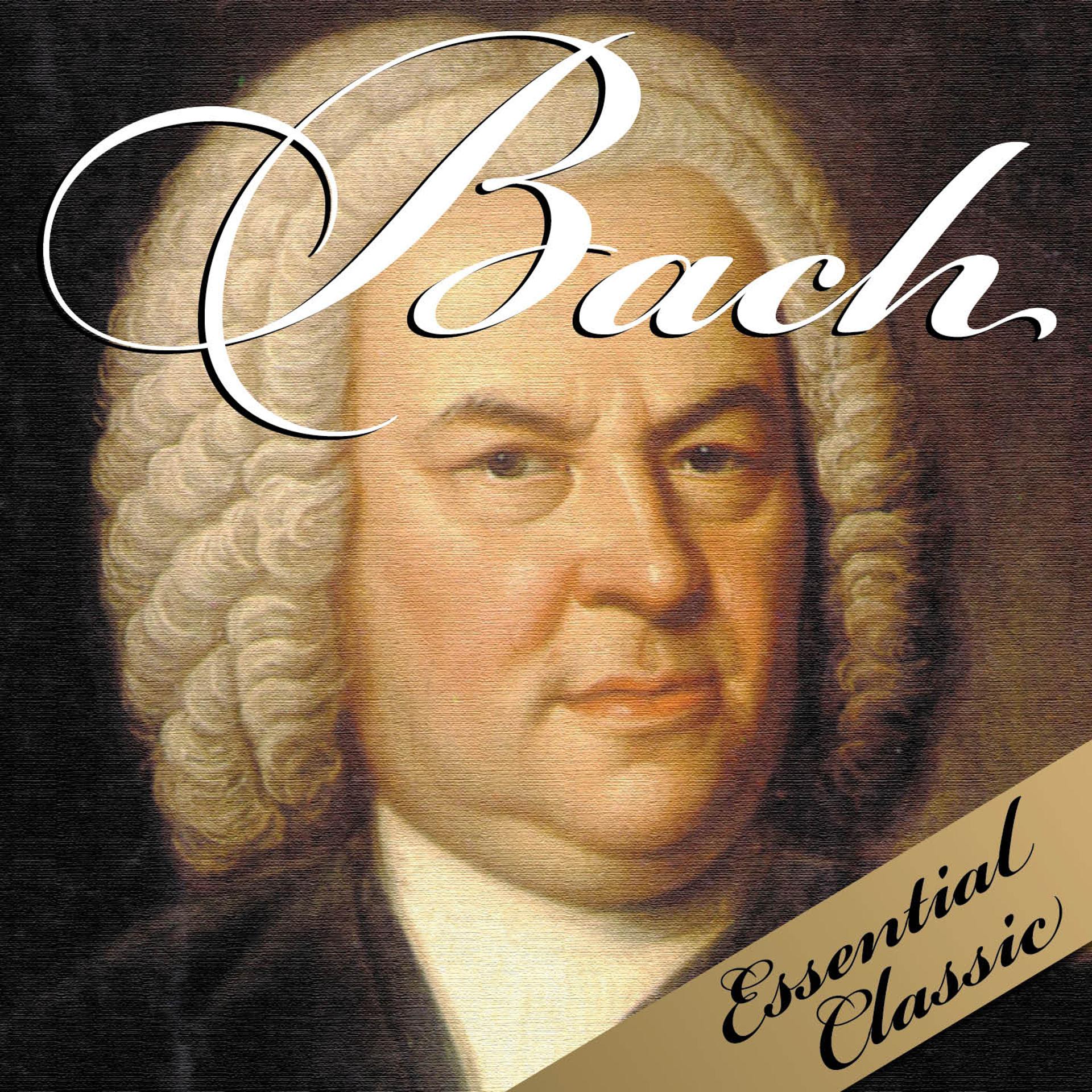 Постер альбома Bach: Essential Classic