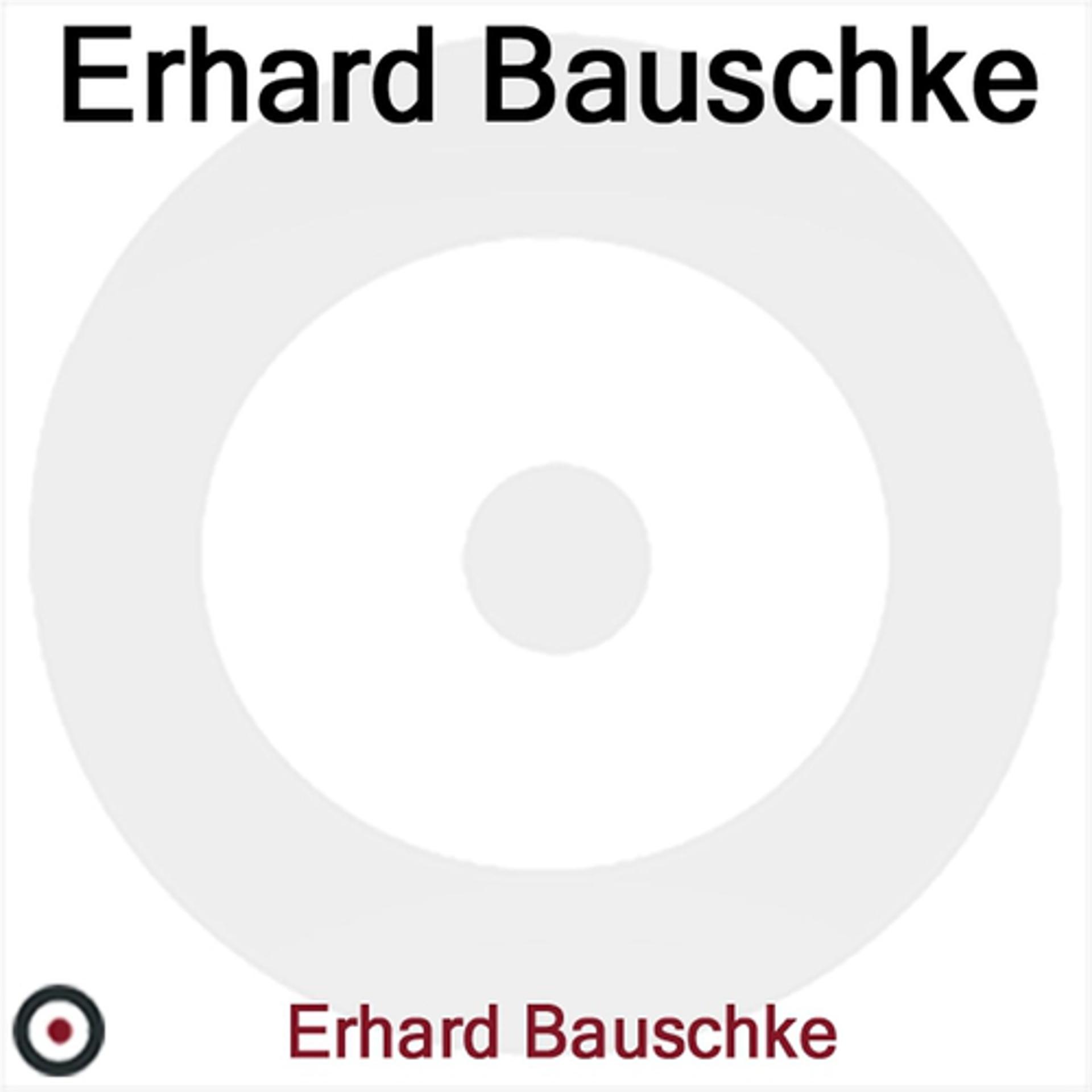 Постер альбома Erhard Bauschke Und Sein Orchester