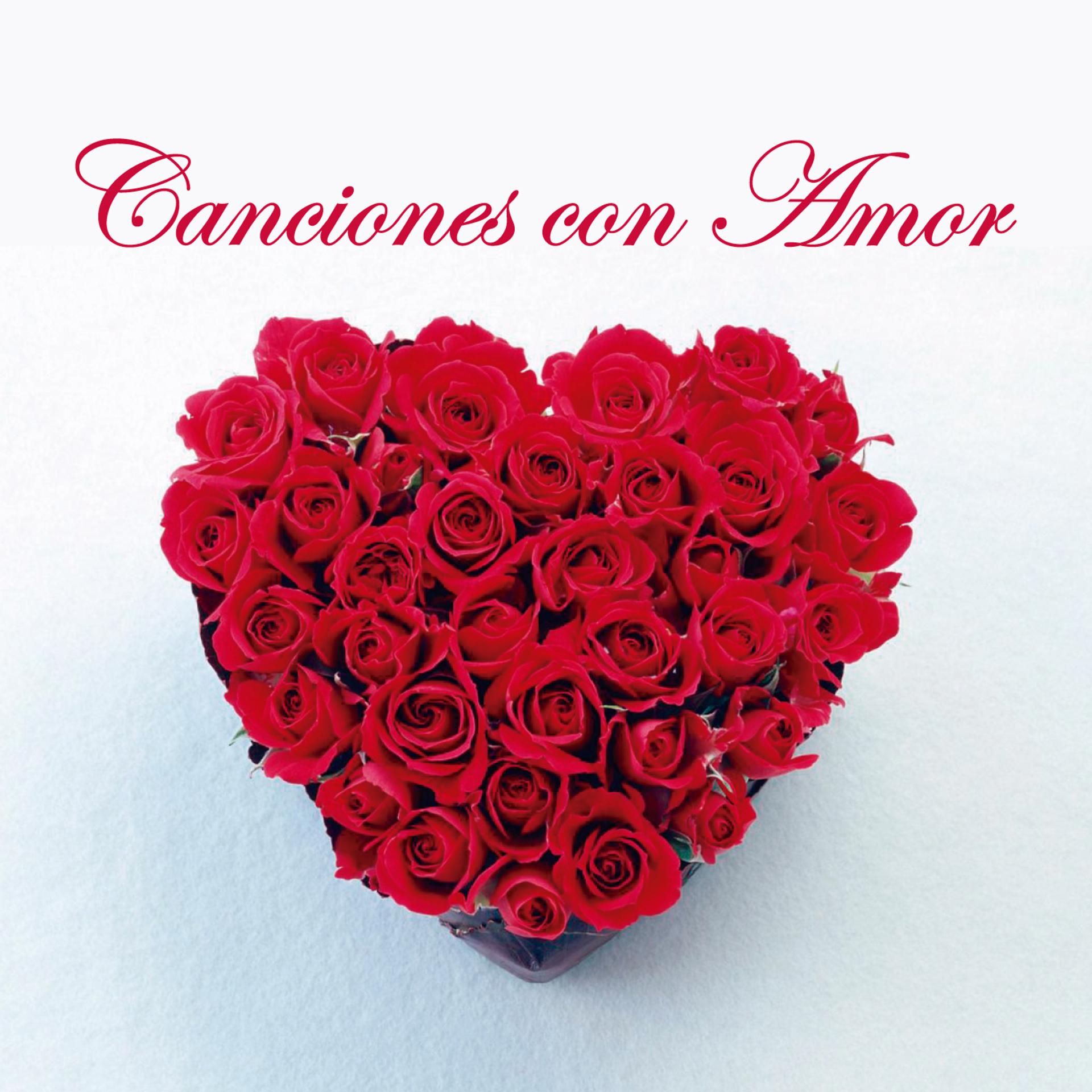Постер альбома Canciones Con Amor