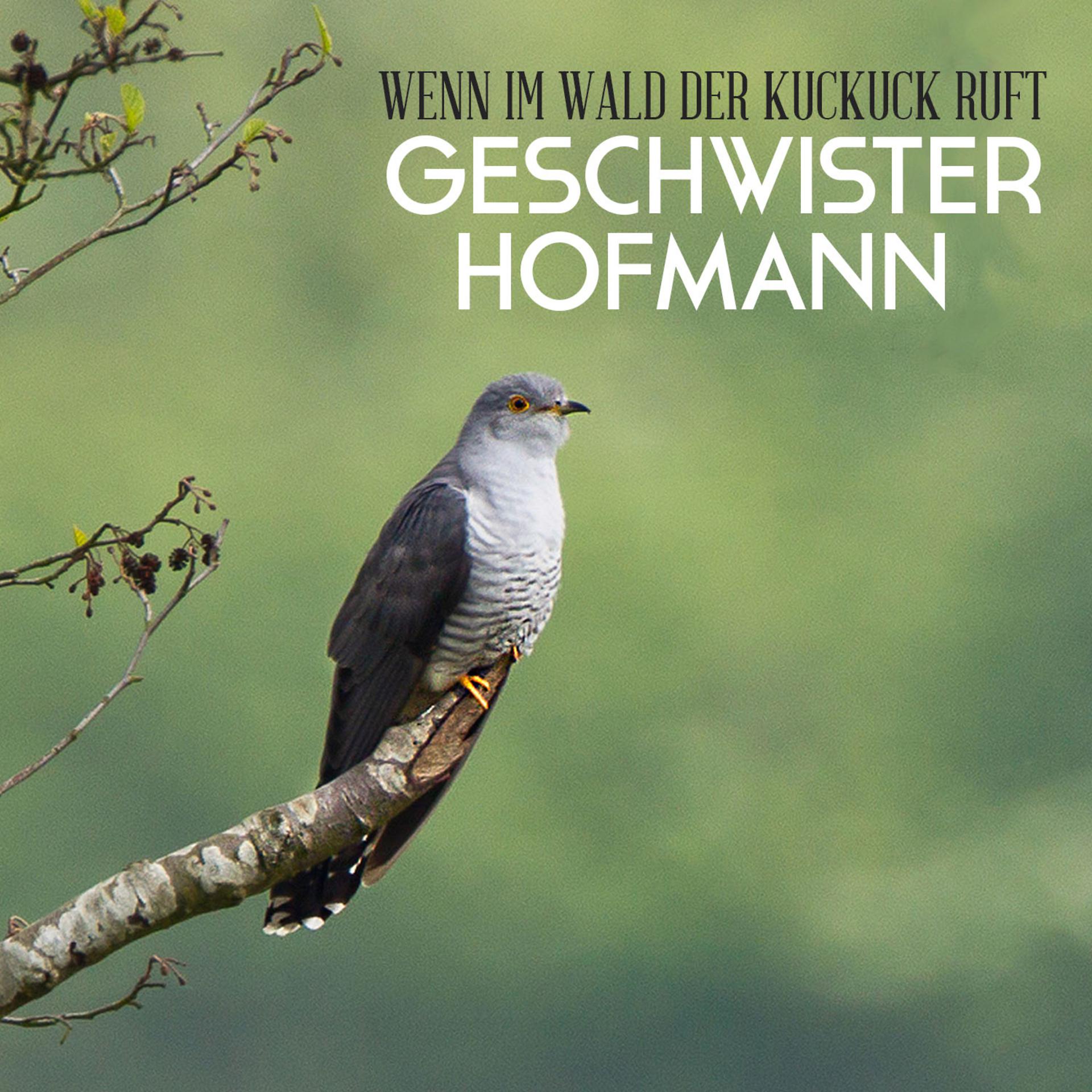 Постер альбома Wenn im Wald der Kuckuck ruft