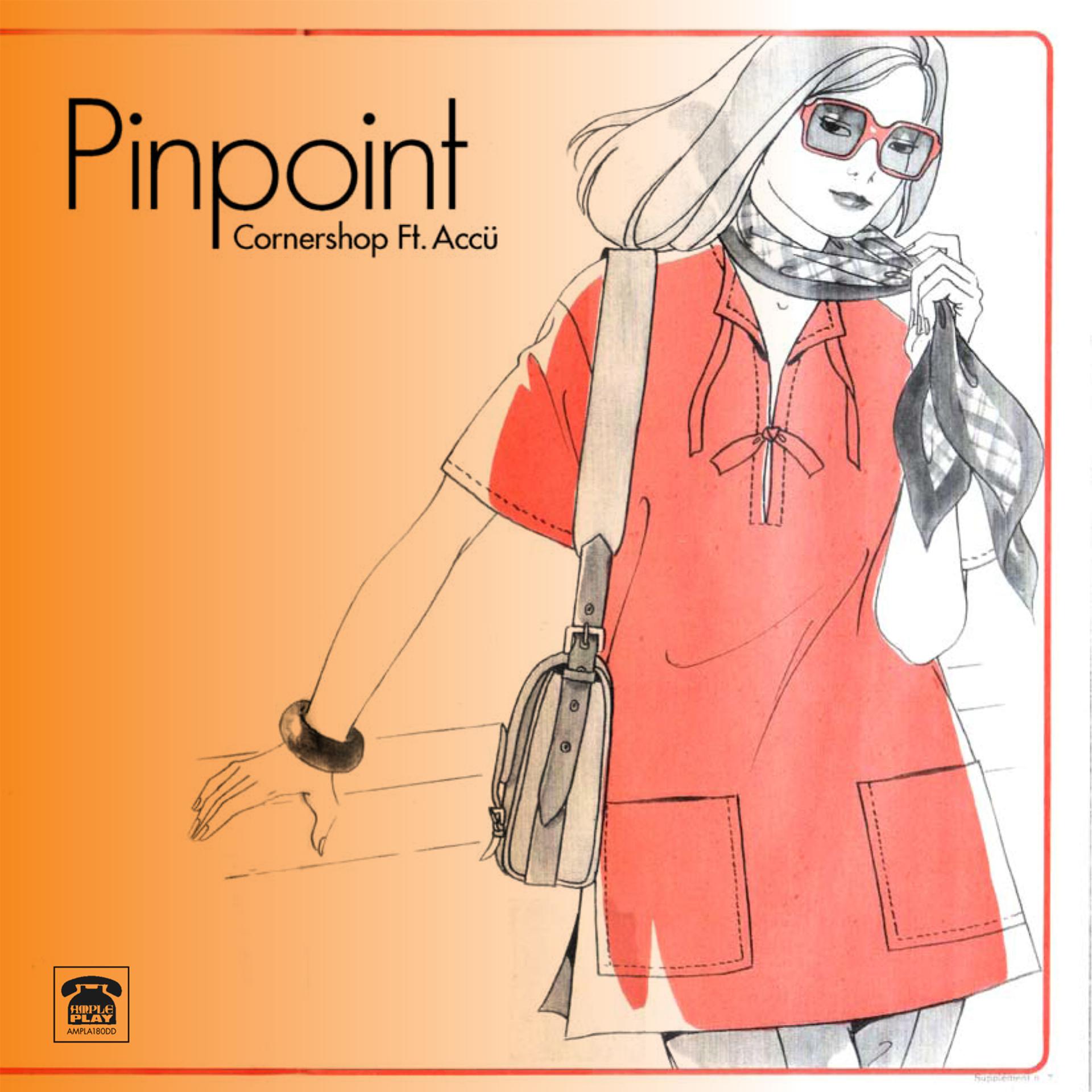 Постер альбома Pinpoint / Titi Shaker - Single