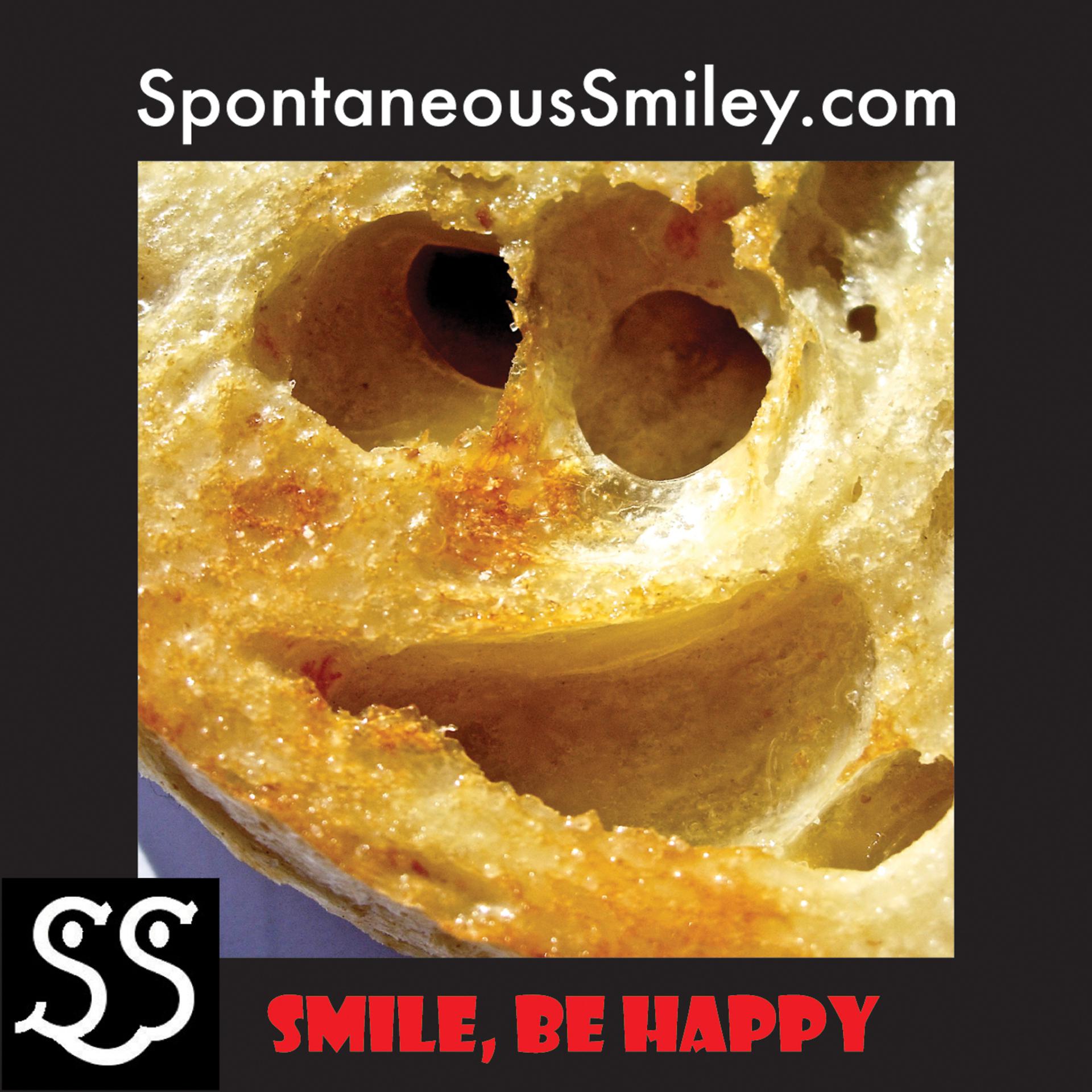 Постер альбома Smile, Be Happy (The Spontaneous Smiley Song)