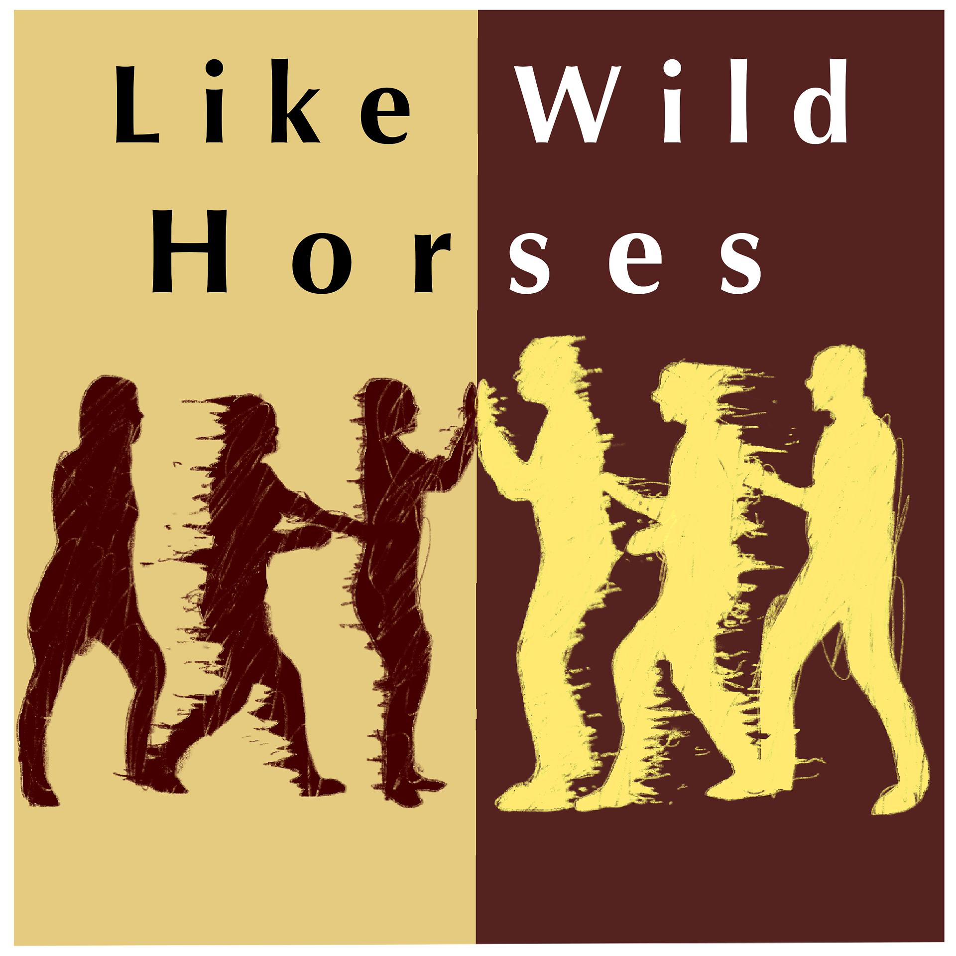 Постер альбома Like Wild Horses