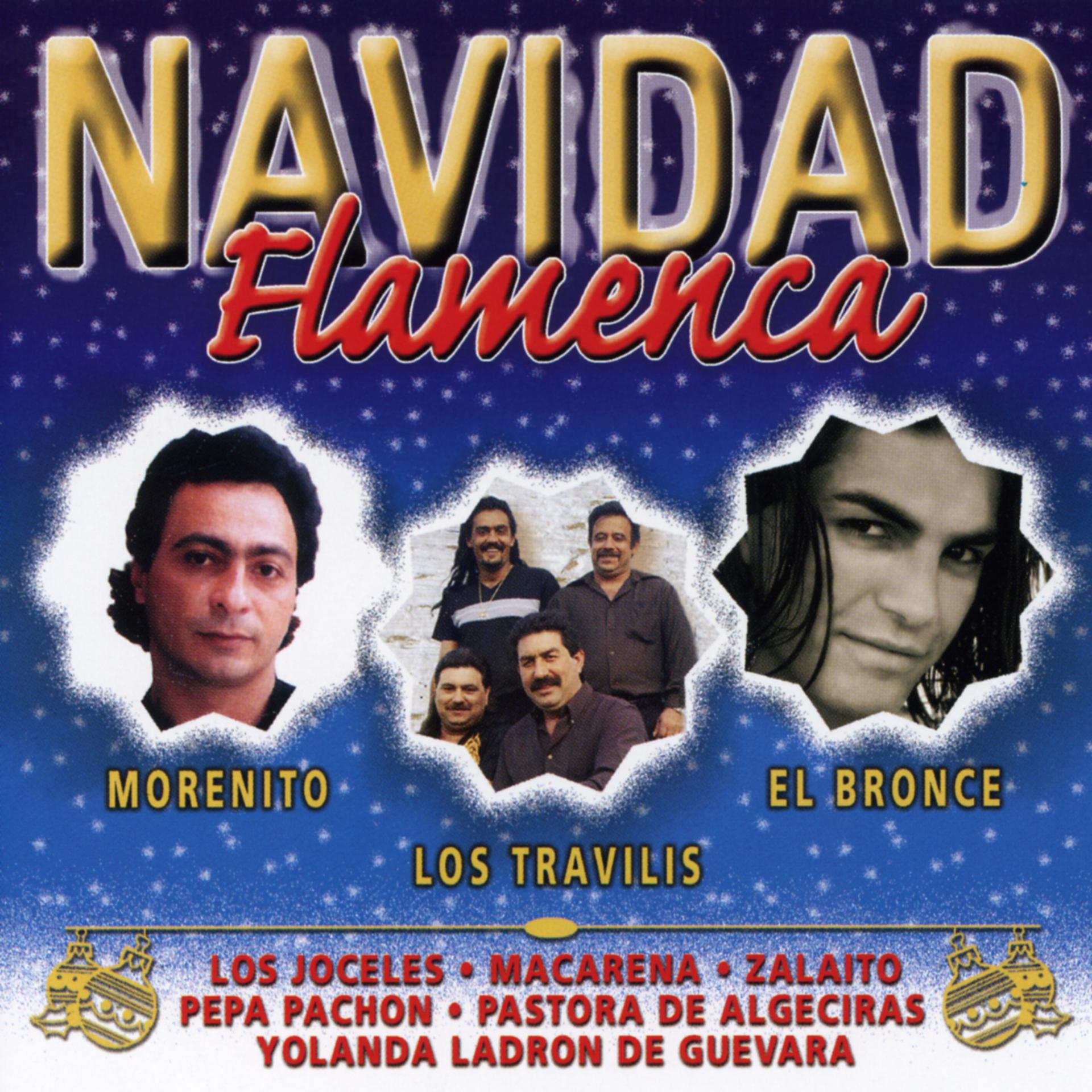Постер альбома Navidad Flamenca