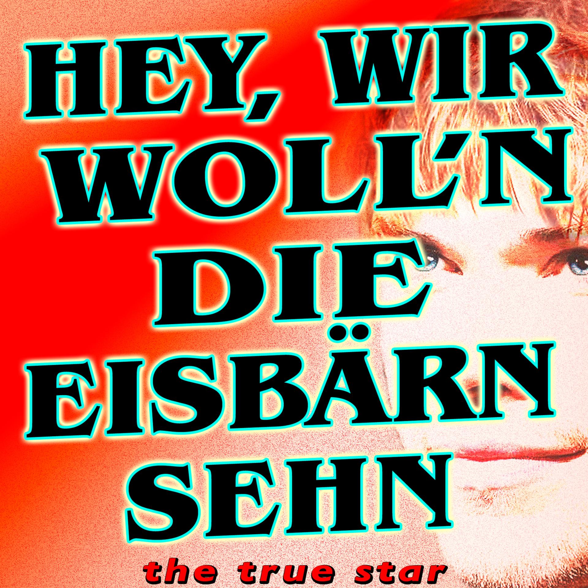 Постер альбома Hey, wir woll'n die Eisbärn sehn (Pudhys & Jürgen Drews Tribute)