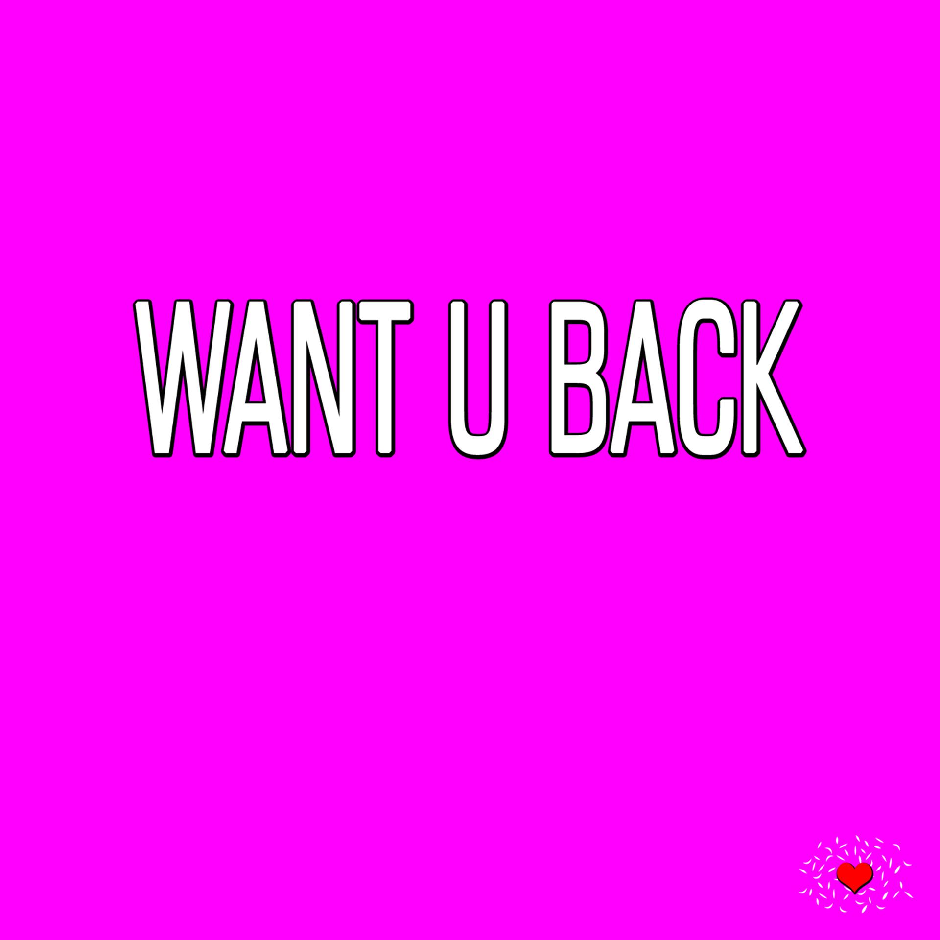 Постер альбома Want U Back