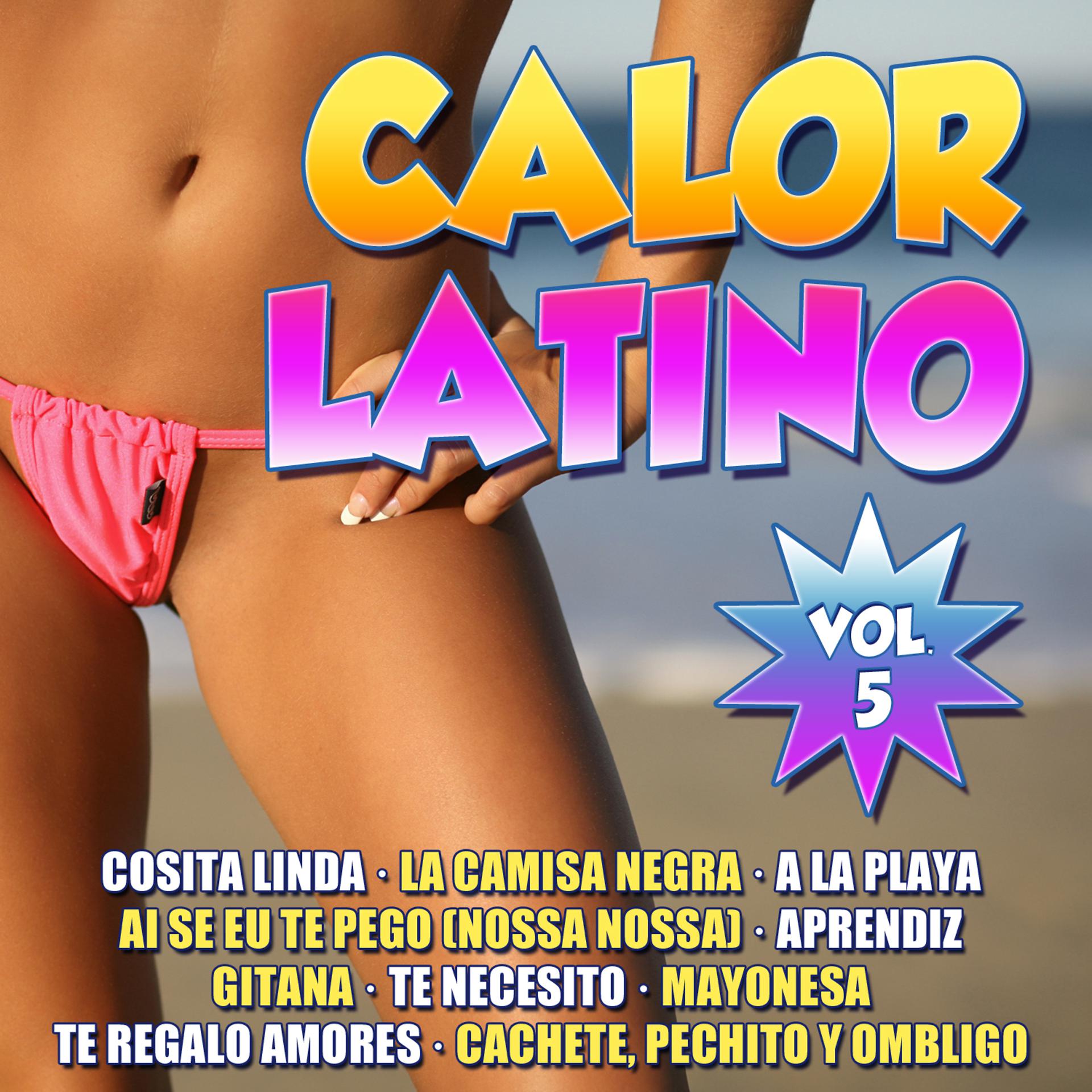 Постер альбома Calor Latino Vol.5