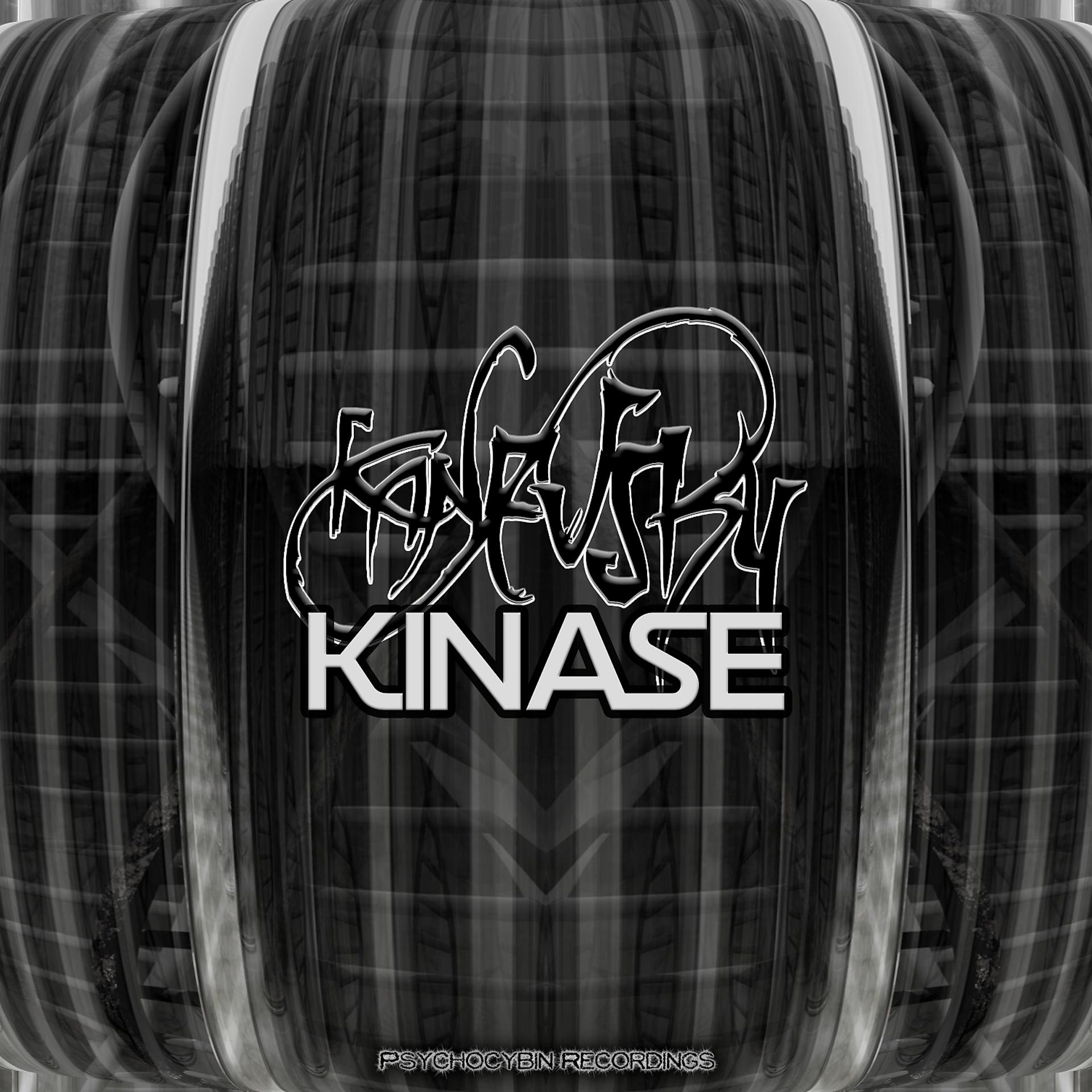 Постер альбома Kinase