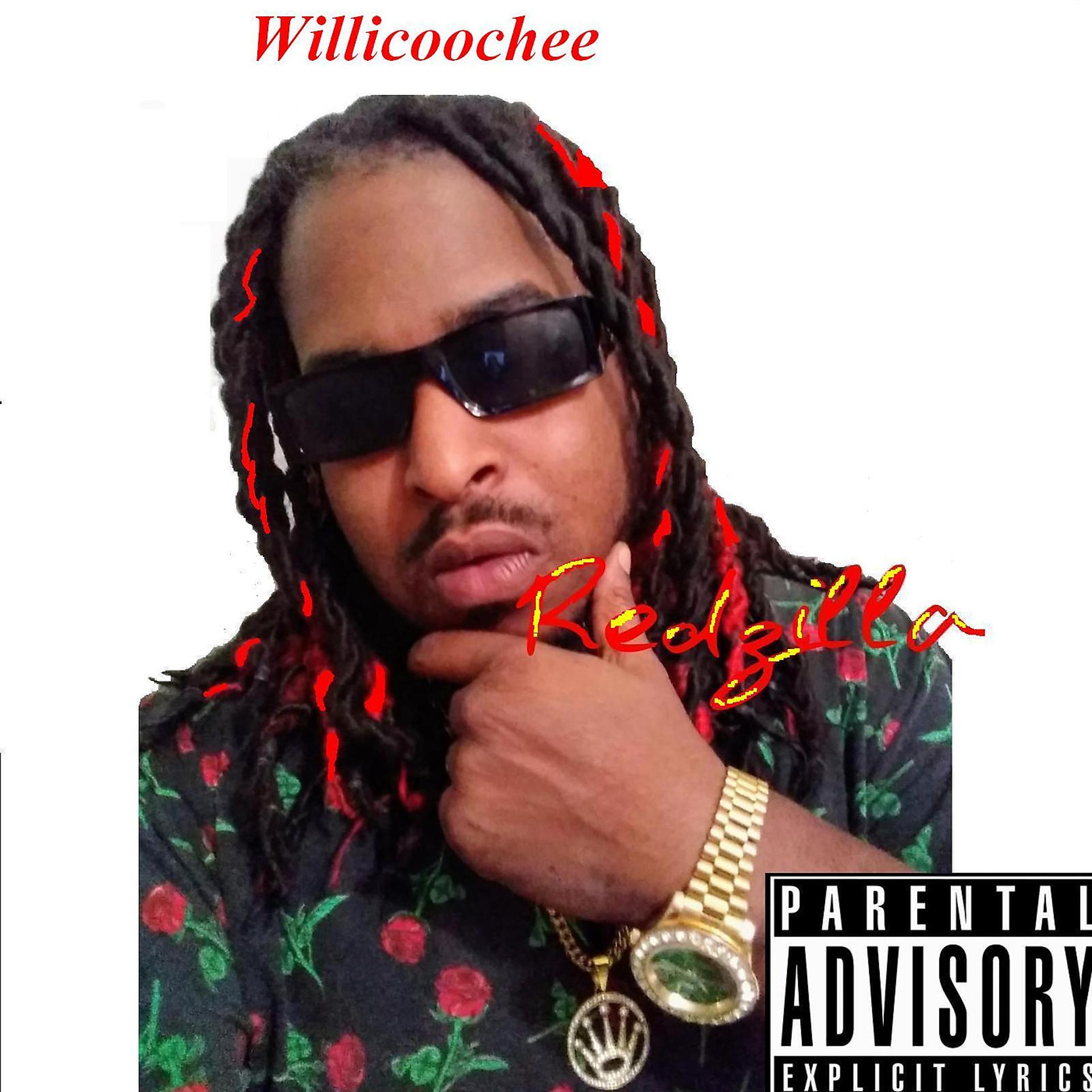Постер альбома Willicoochee