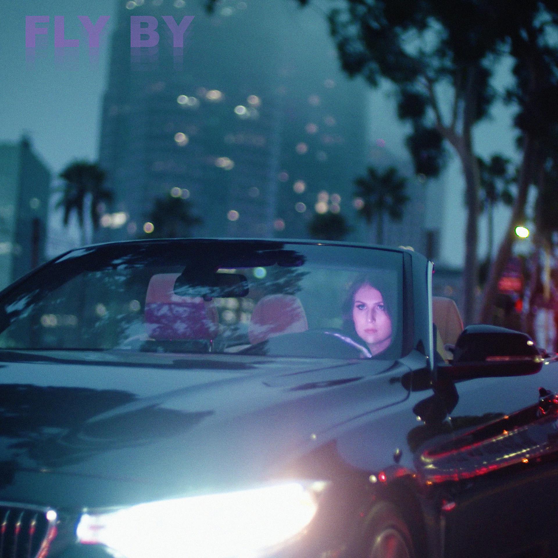 Постер альбома Fly By