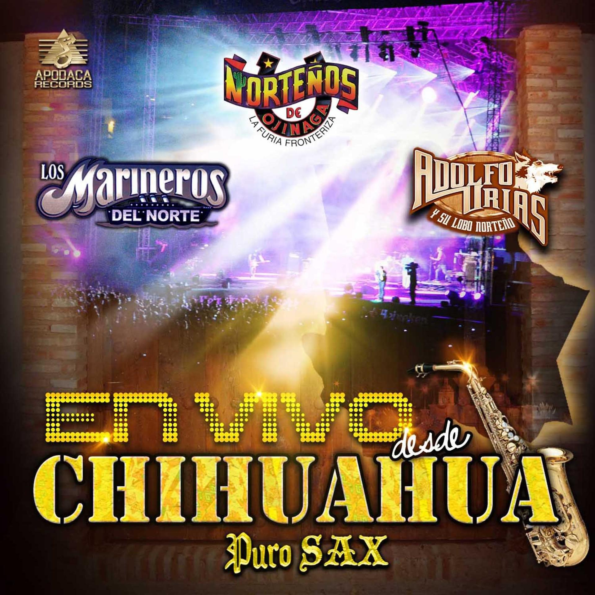 Постер альбома En Vivo Desde Chihuahua: Puro Sax