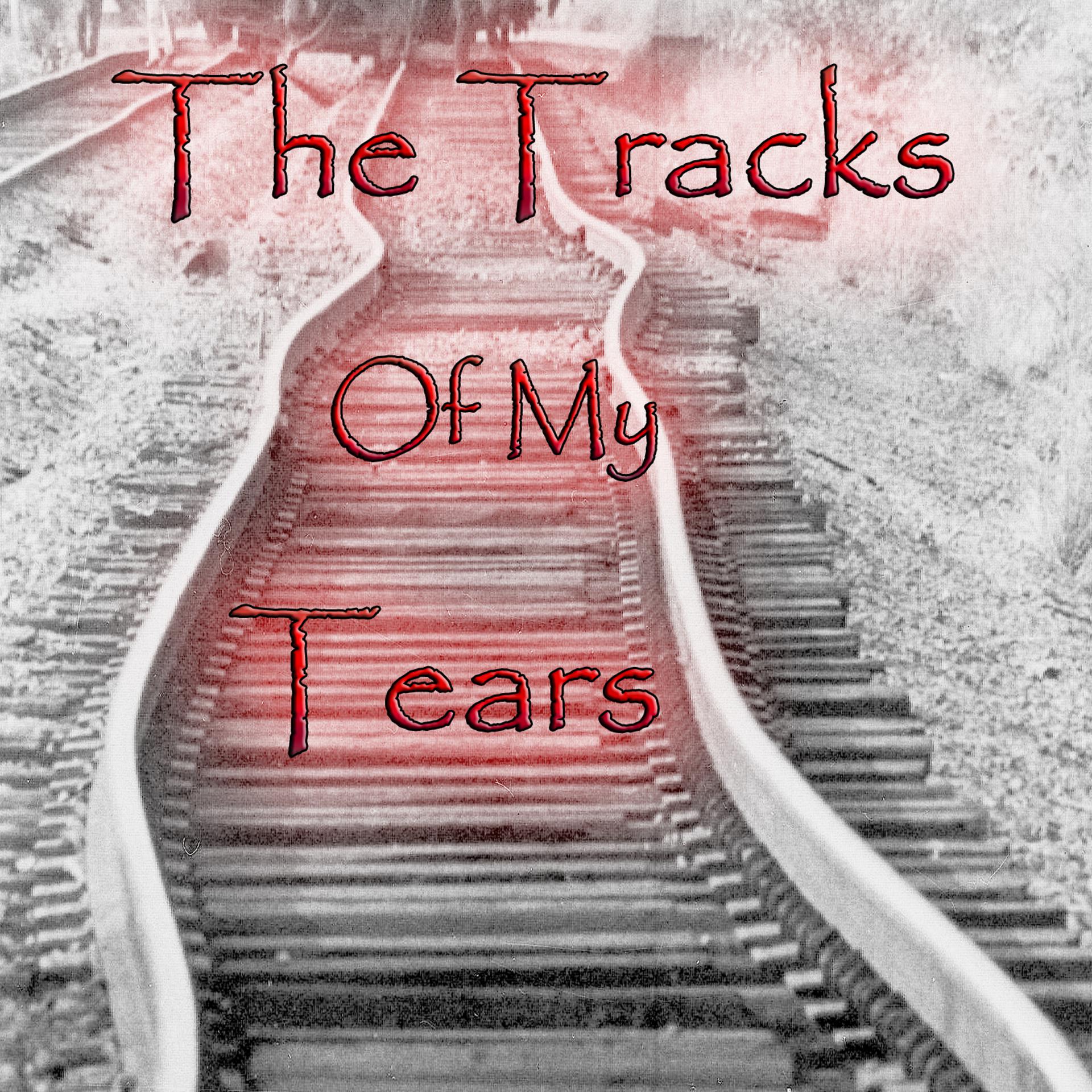 Постер к треку The Miracles - The Tracks of My Tears