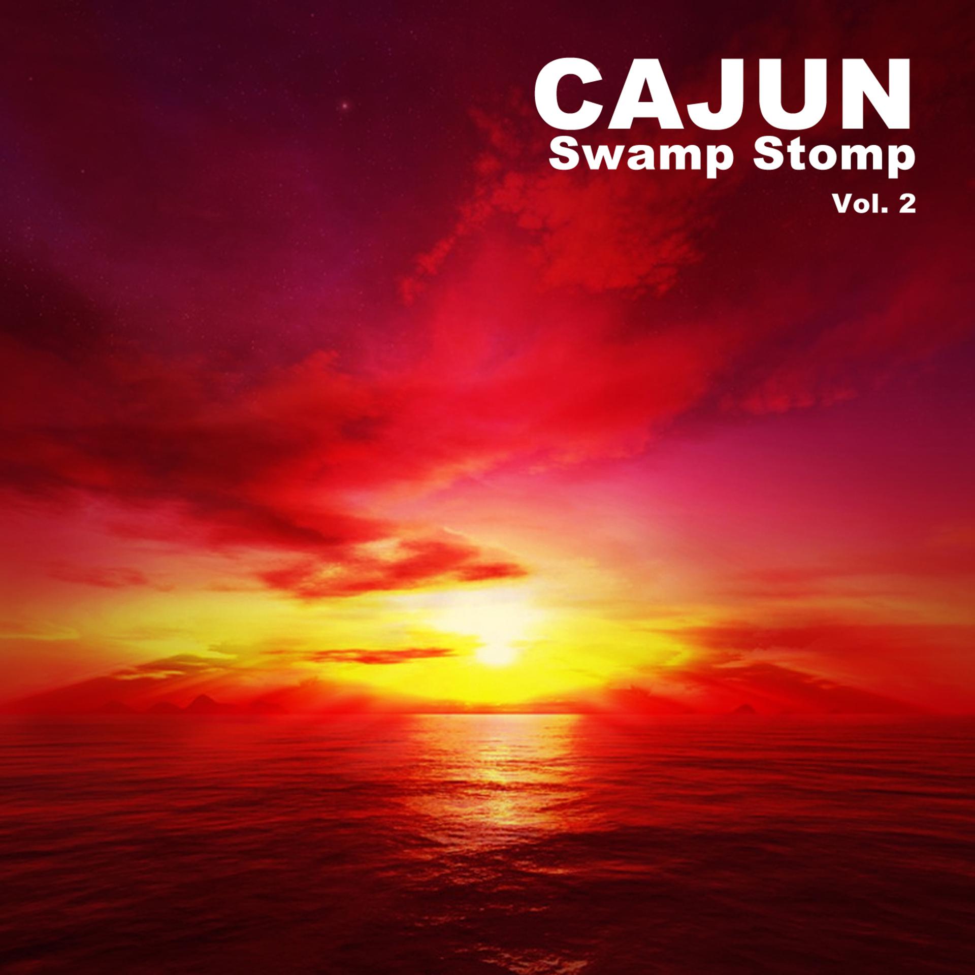 Постер альбома Cajun Swamp Stomp, Vol. 2