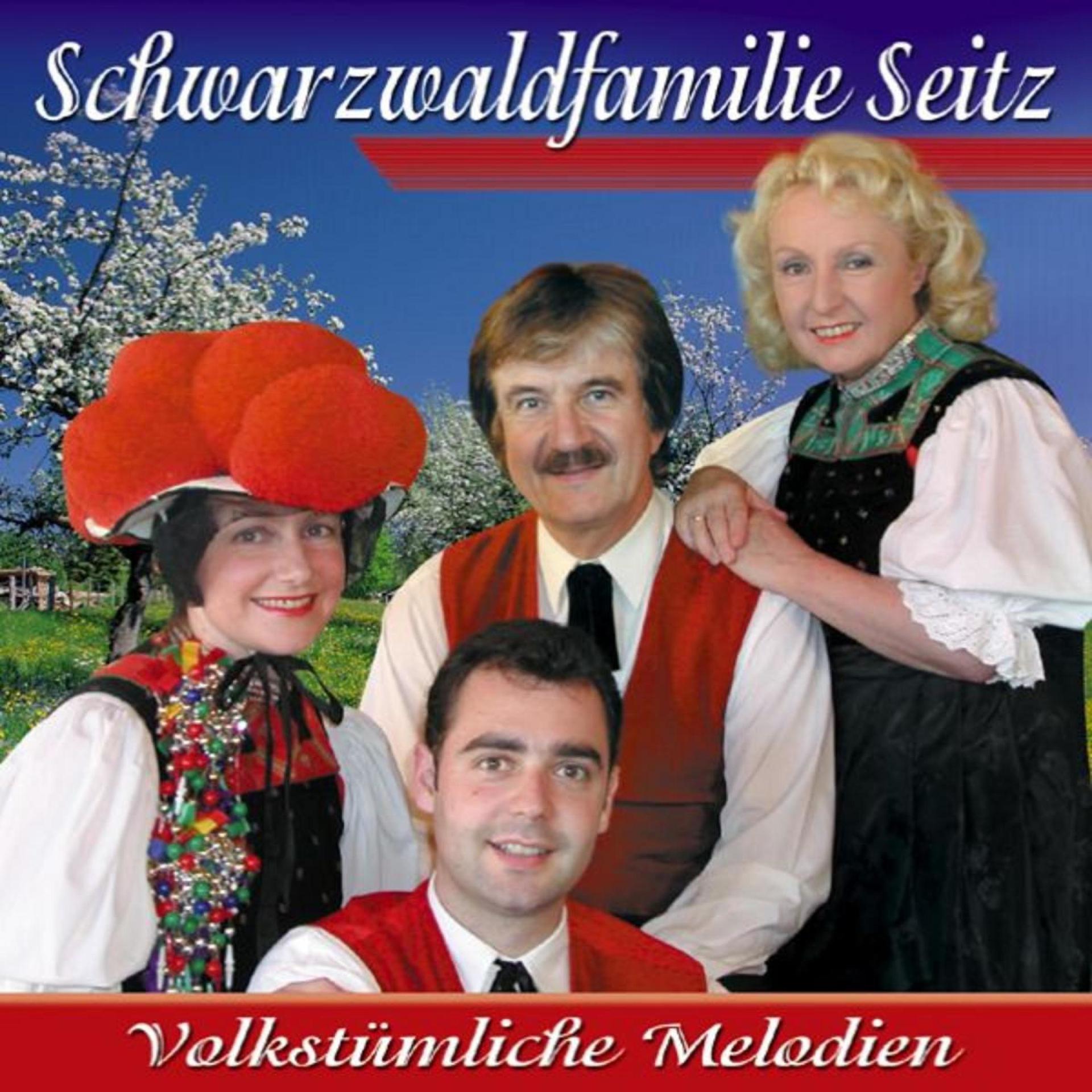 Постер альбома Volkstümliche Melodien