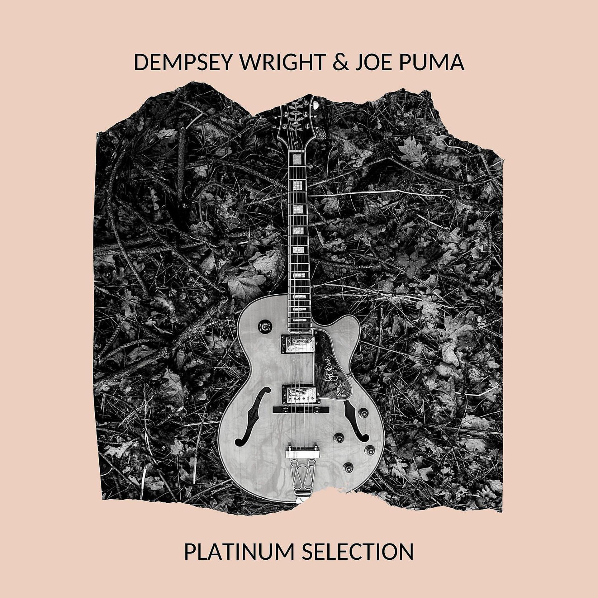 Постер альбома Dempsey Wright & Joe Puma - Platinum Selection