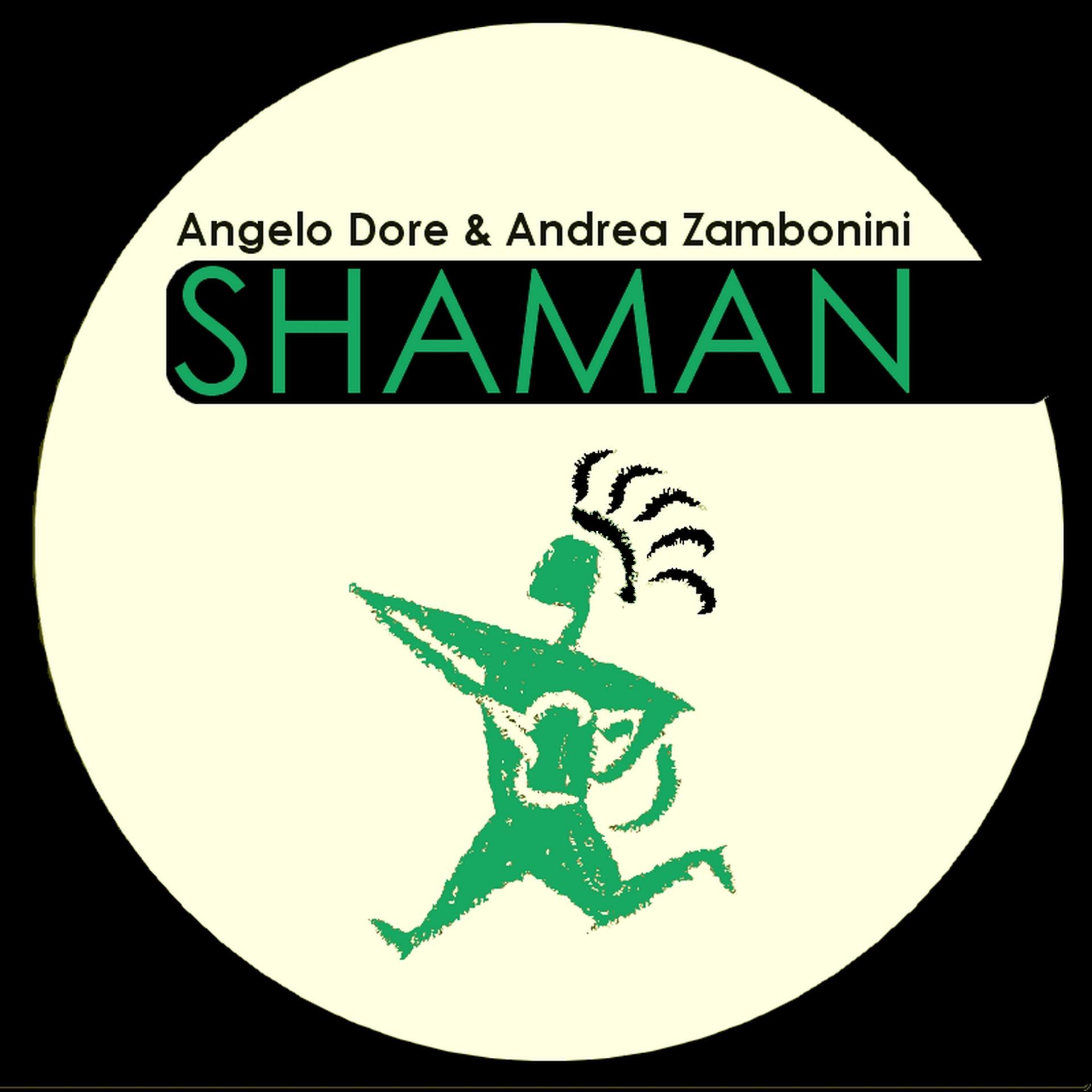 Постер альбома Shaman