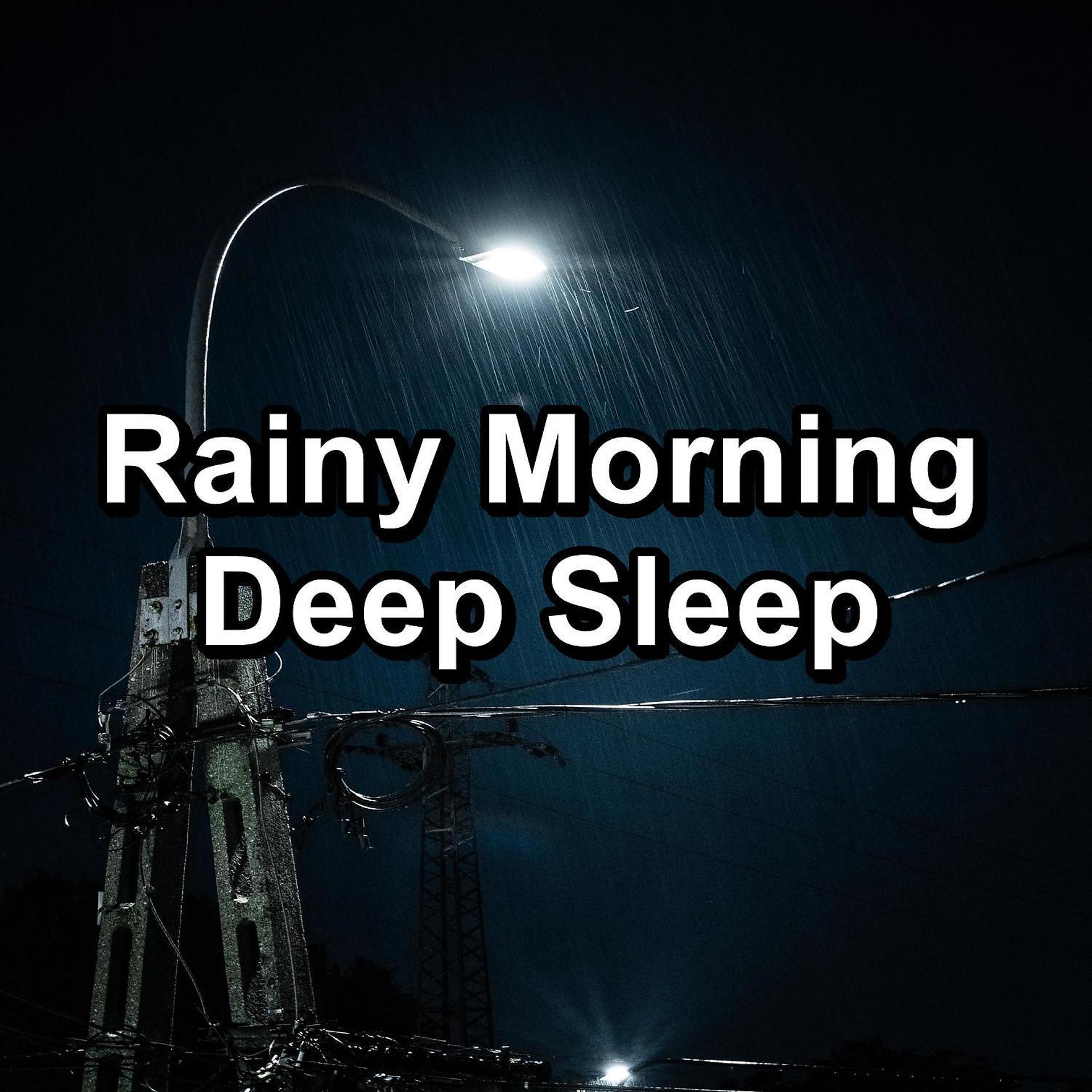 Постер альбома Rainy Morning Deep Sleep