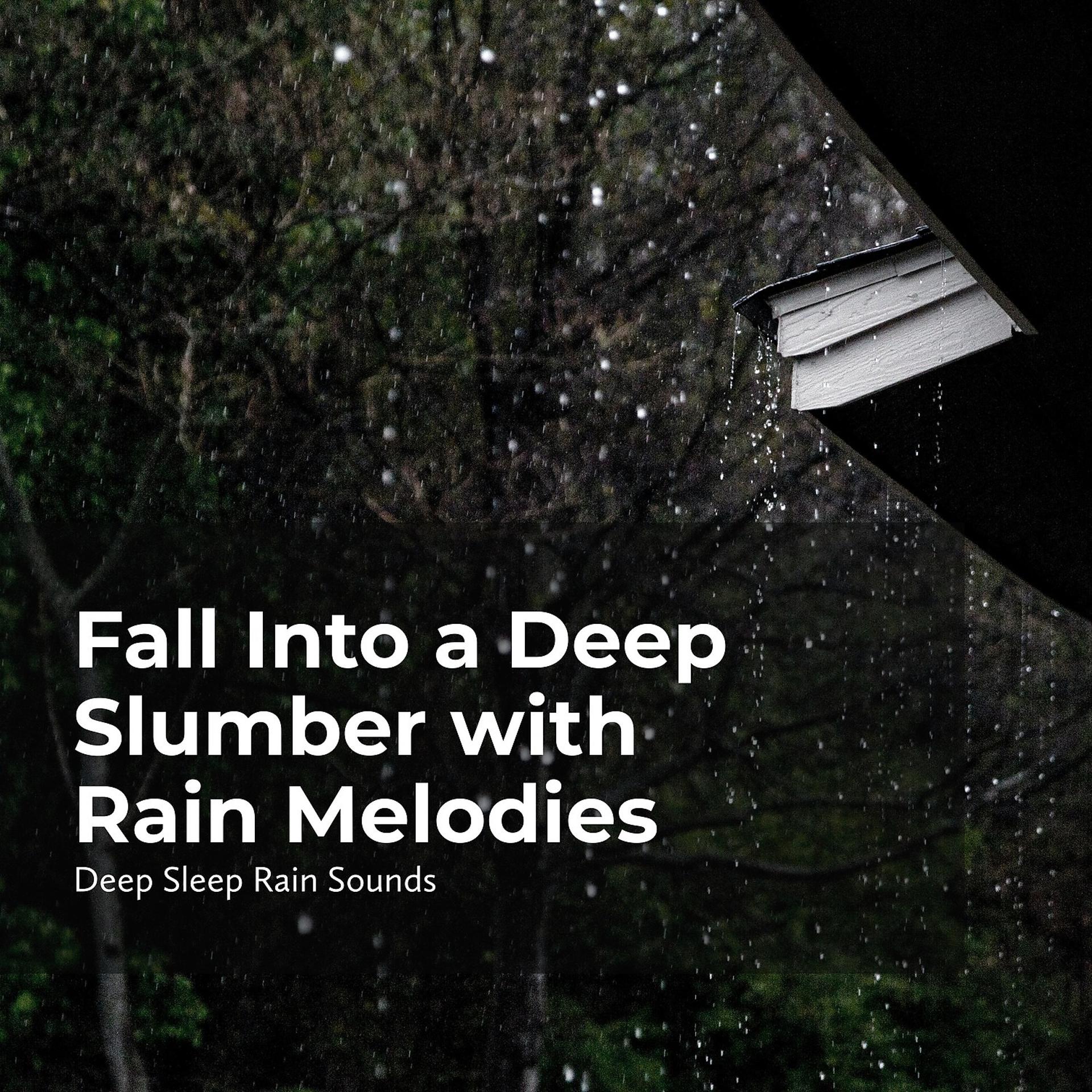 Постер альбома Fall Into a Deep Slumber with Rain Melodies