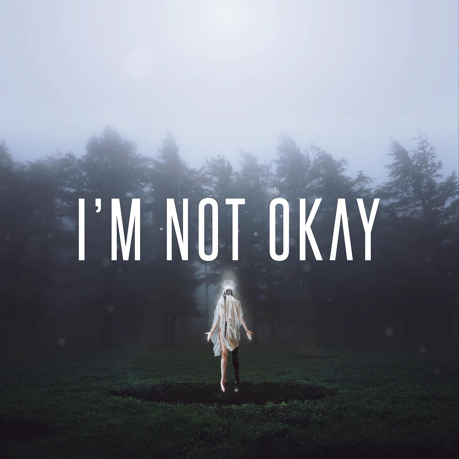Постер альбома I'm Not Okay