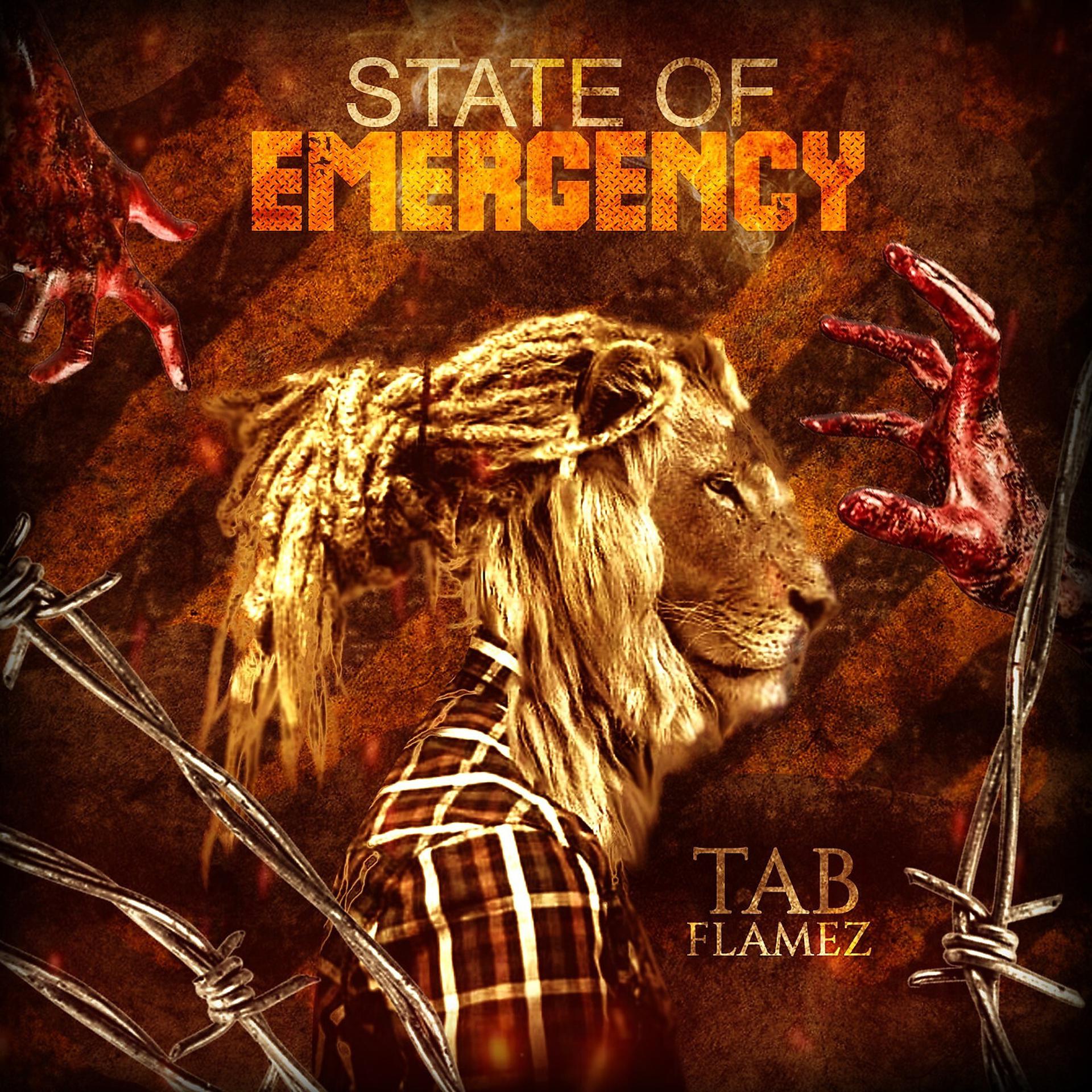 Постер альбома State of Emergency