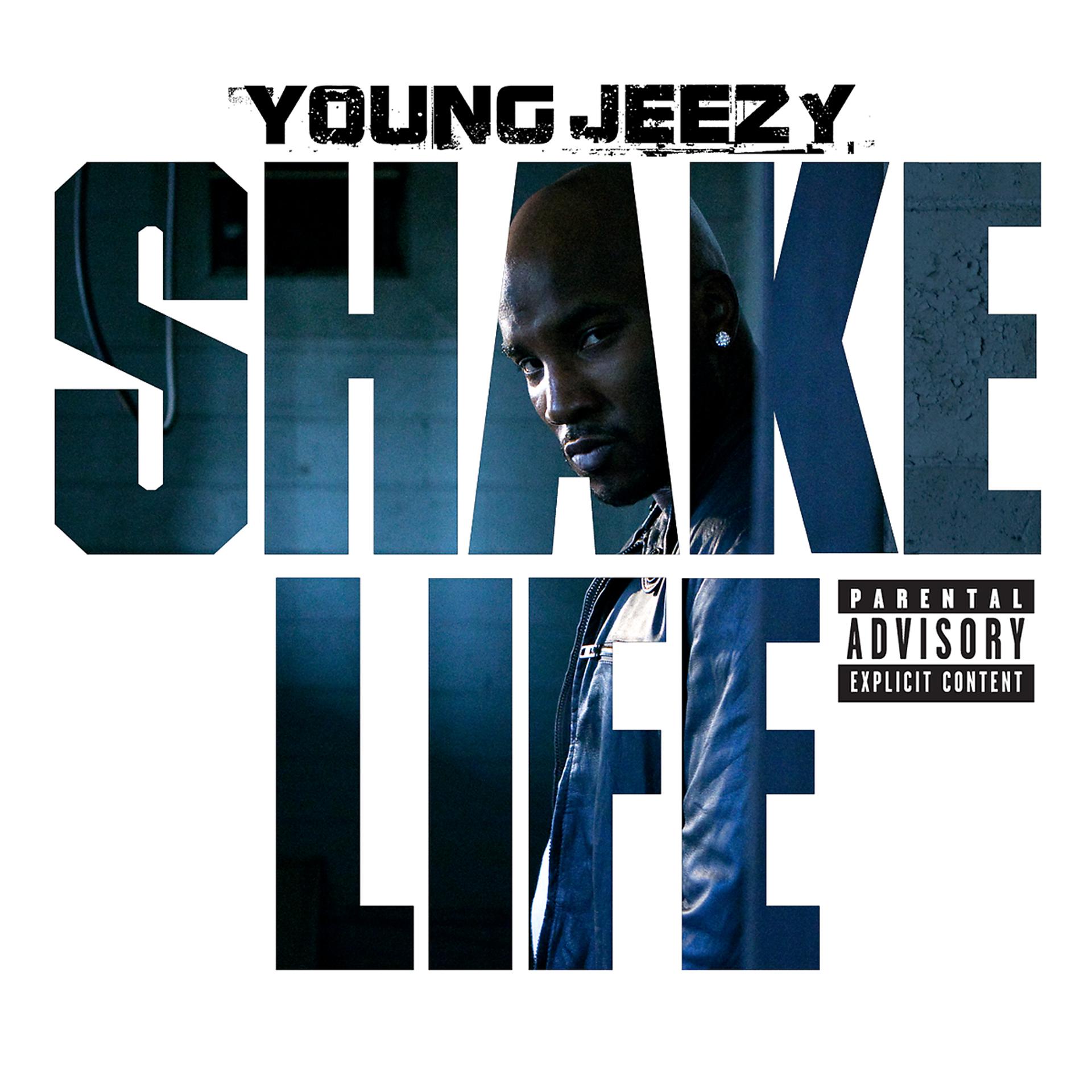 Постер альбома Shake Life