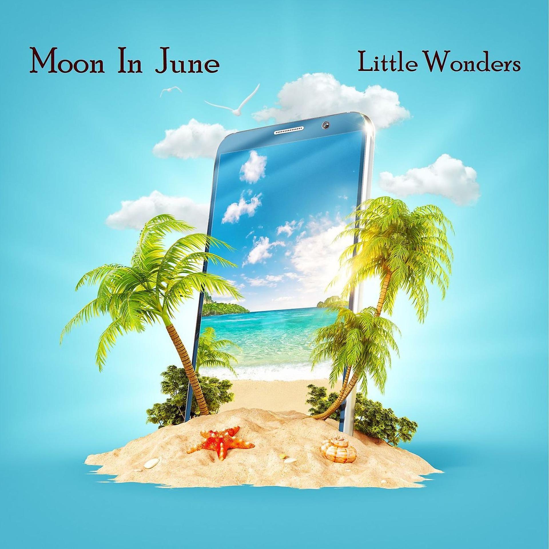 Постер альбома Little Wonders