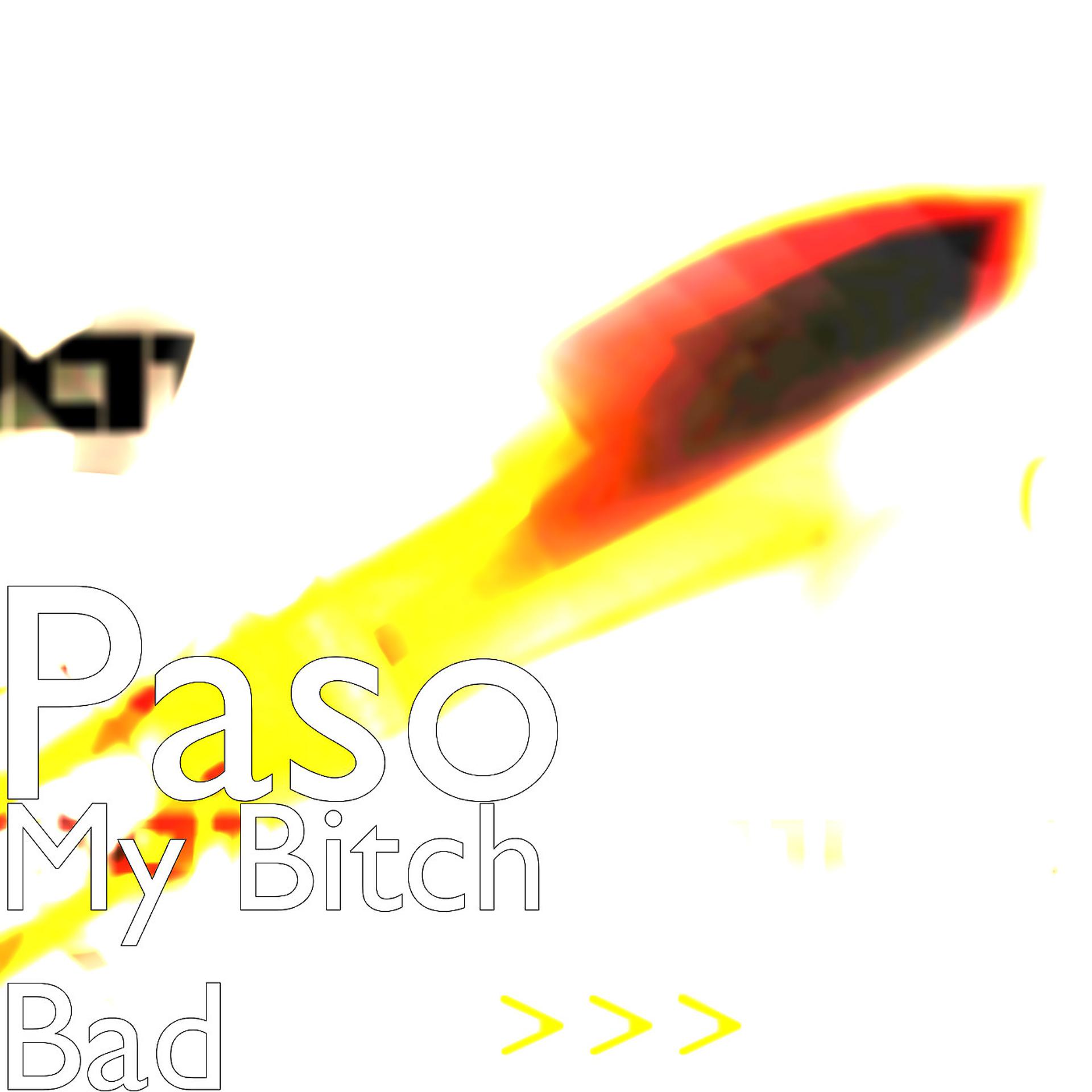 Постер альбома My Bitch Bad