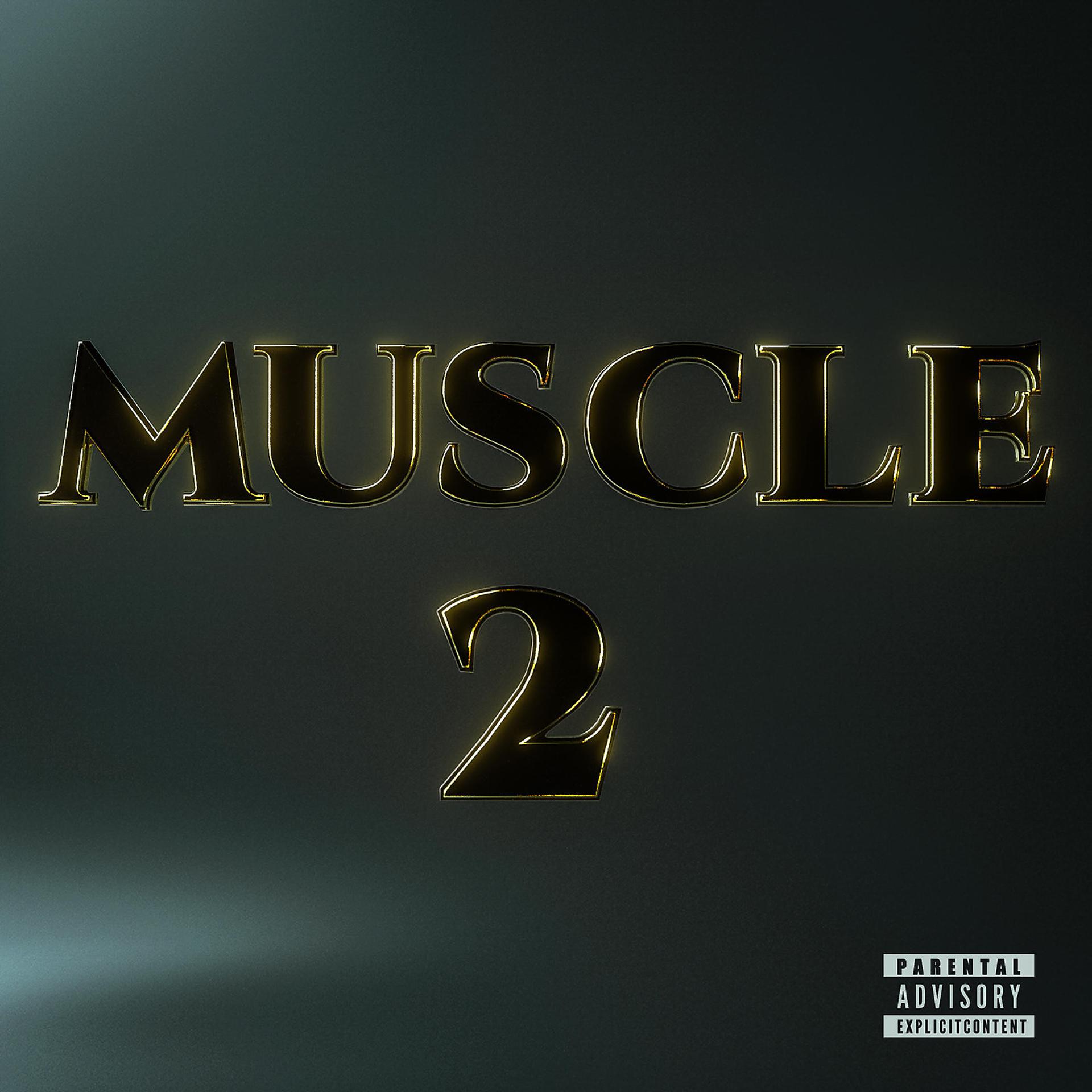 Постер альбома Muscle 2