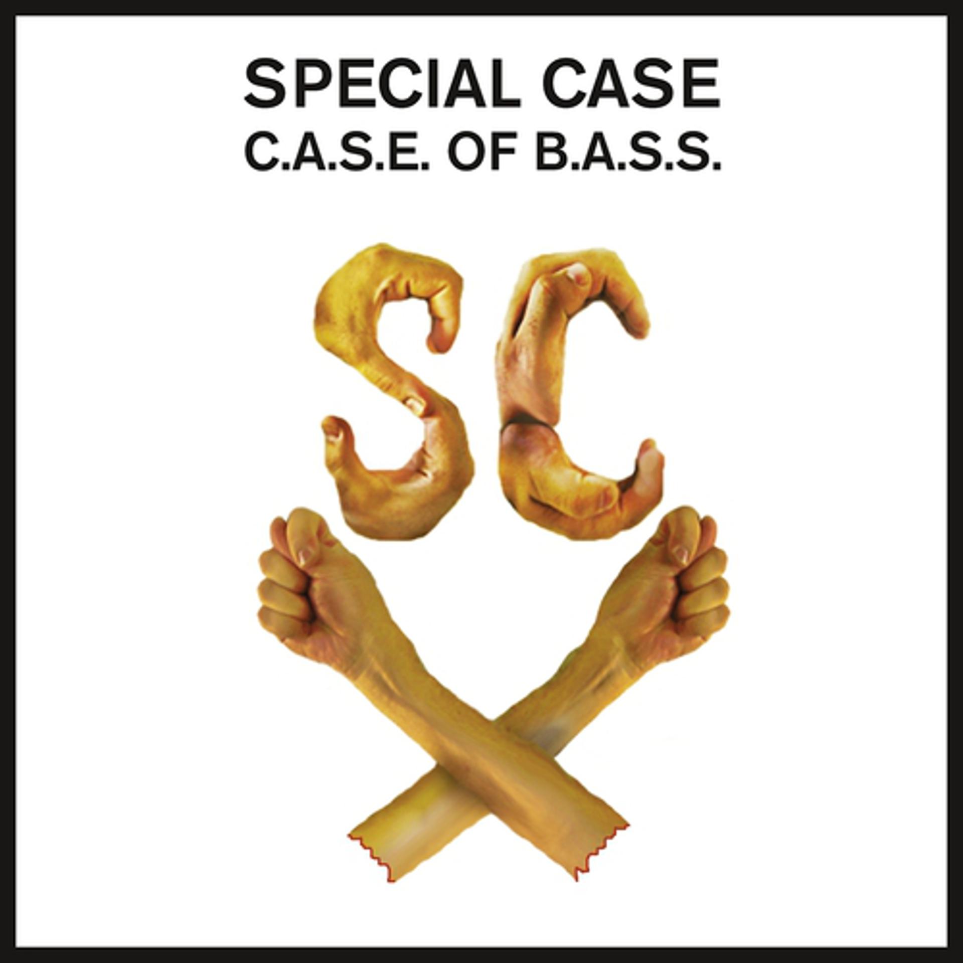 Постер альбома Case of Bass Ep