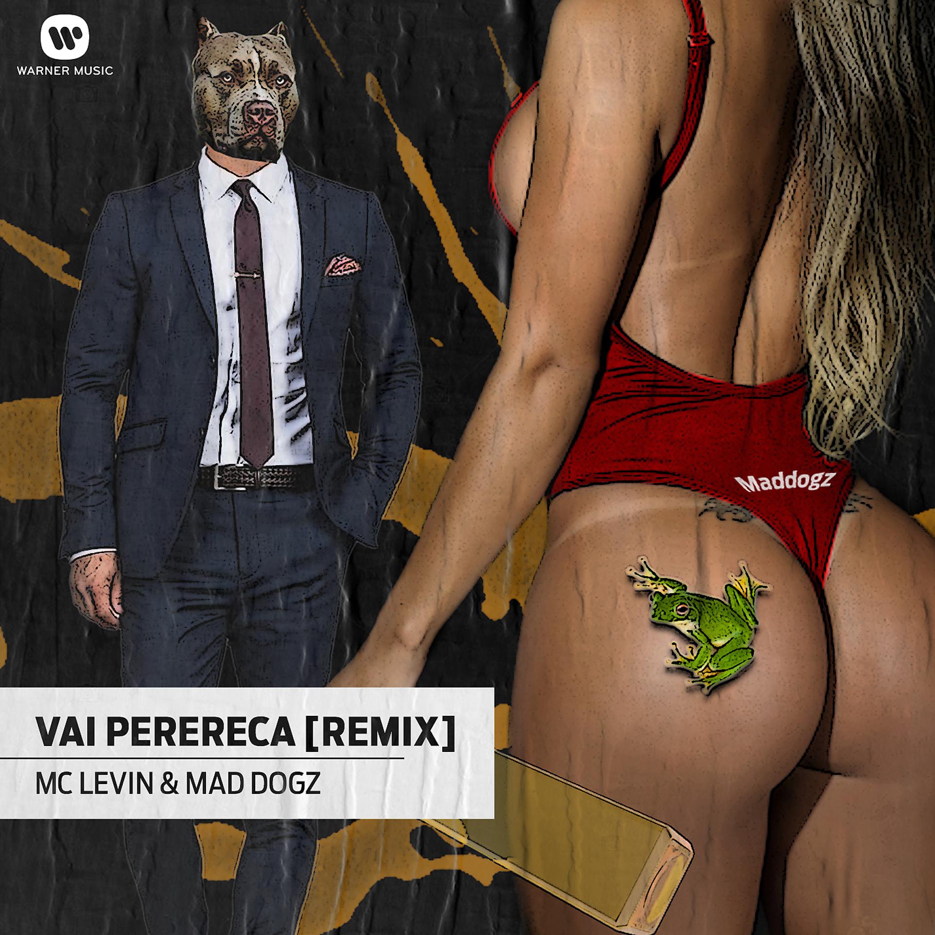 Постер альбома Vai perereca (Remix)