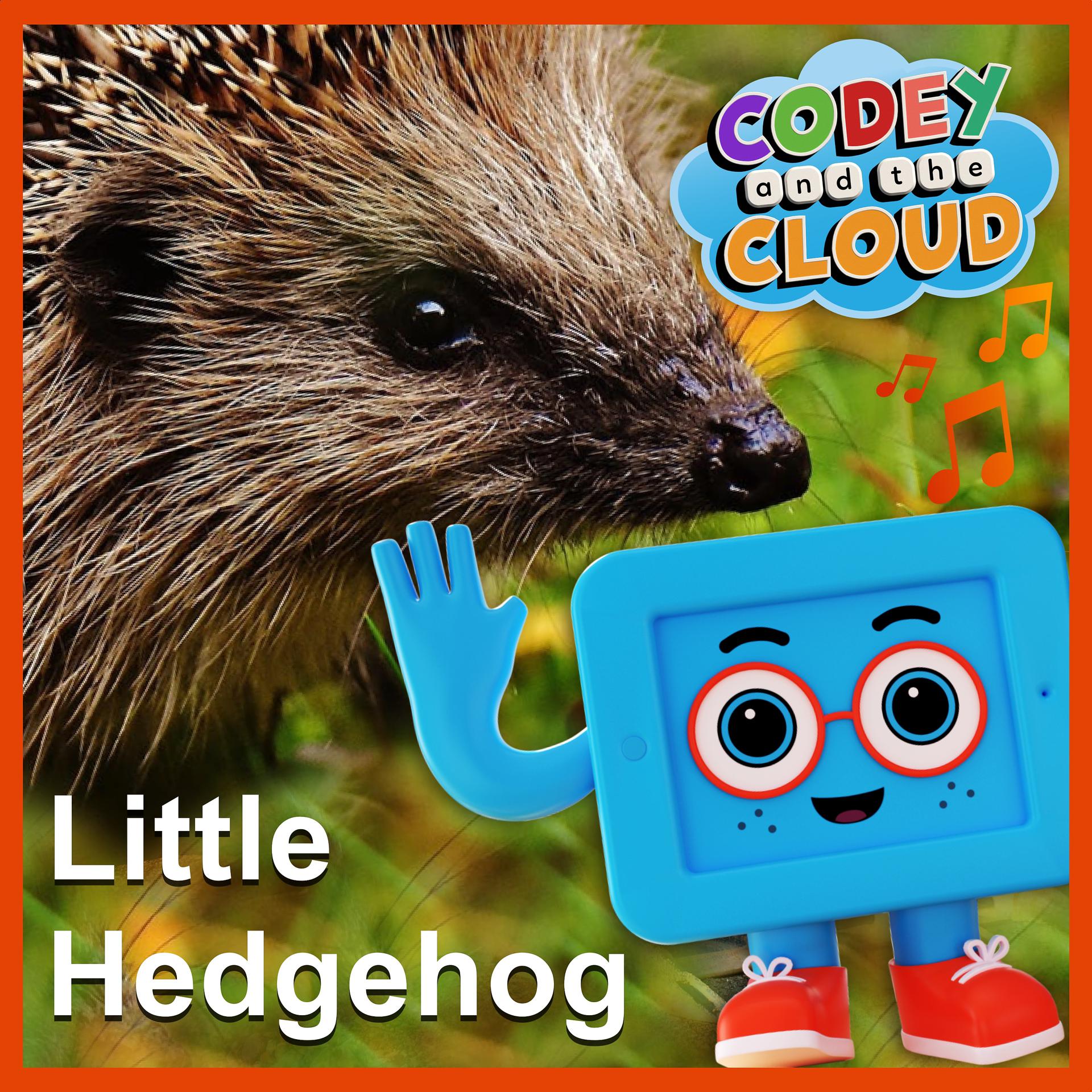 Постер альбома Little Hedgehog